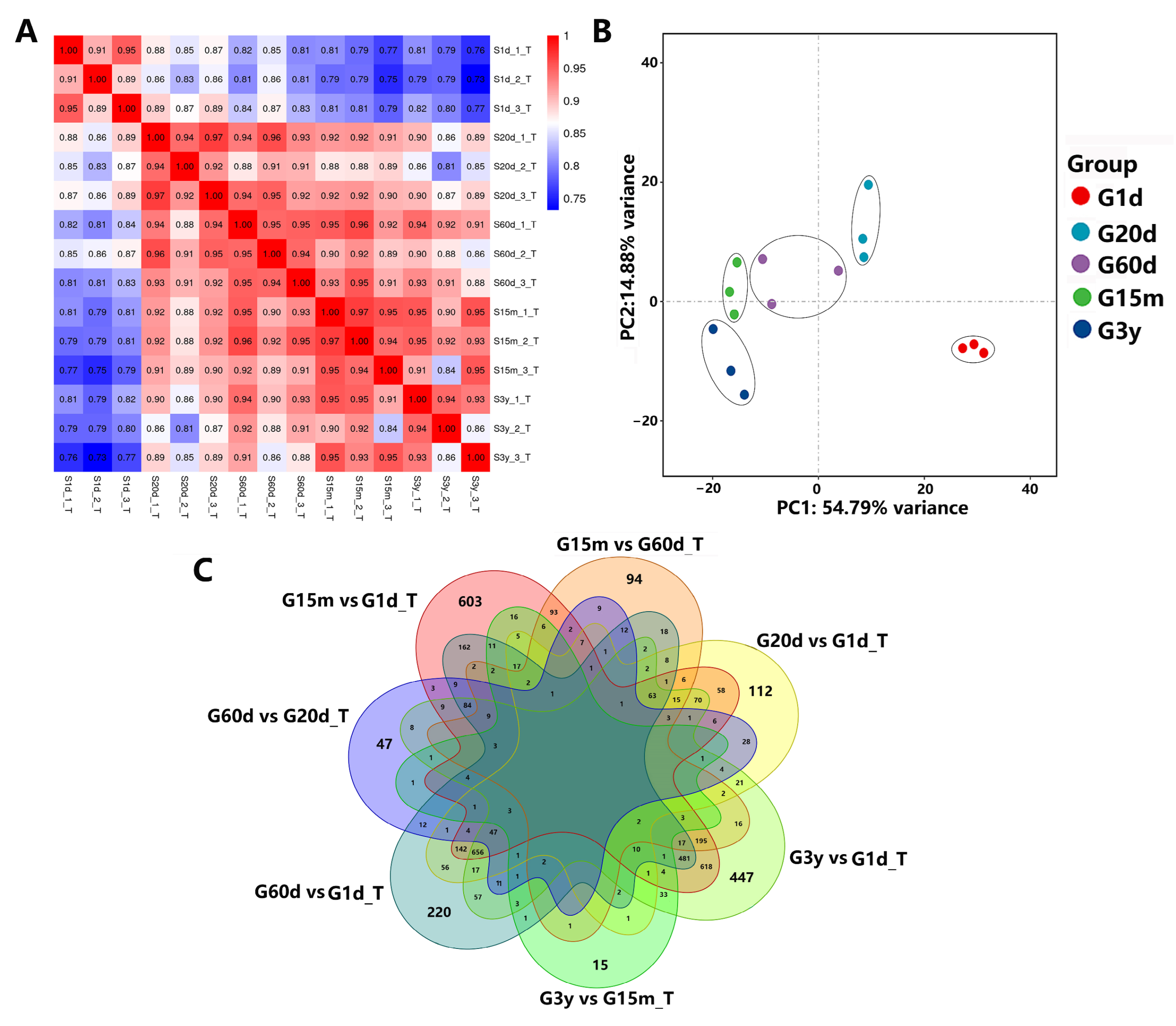 Animals 14 01365 g003