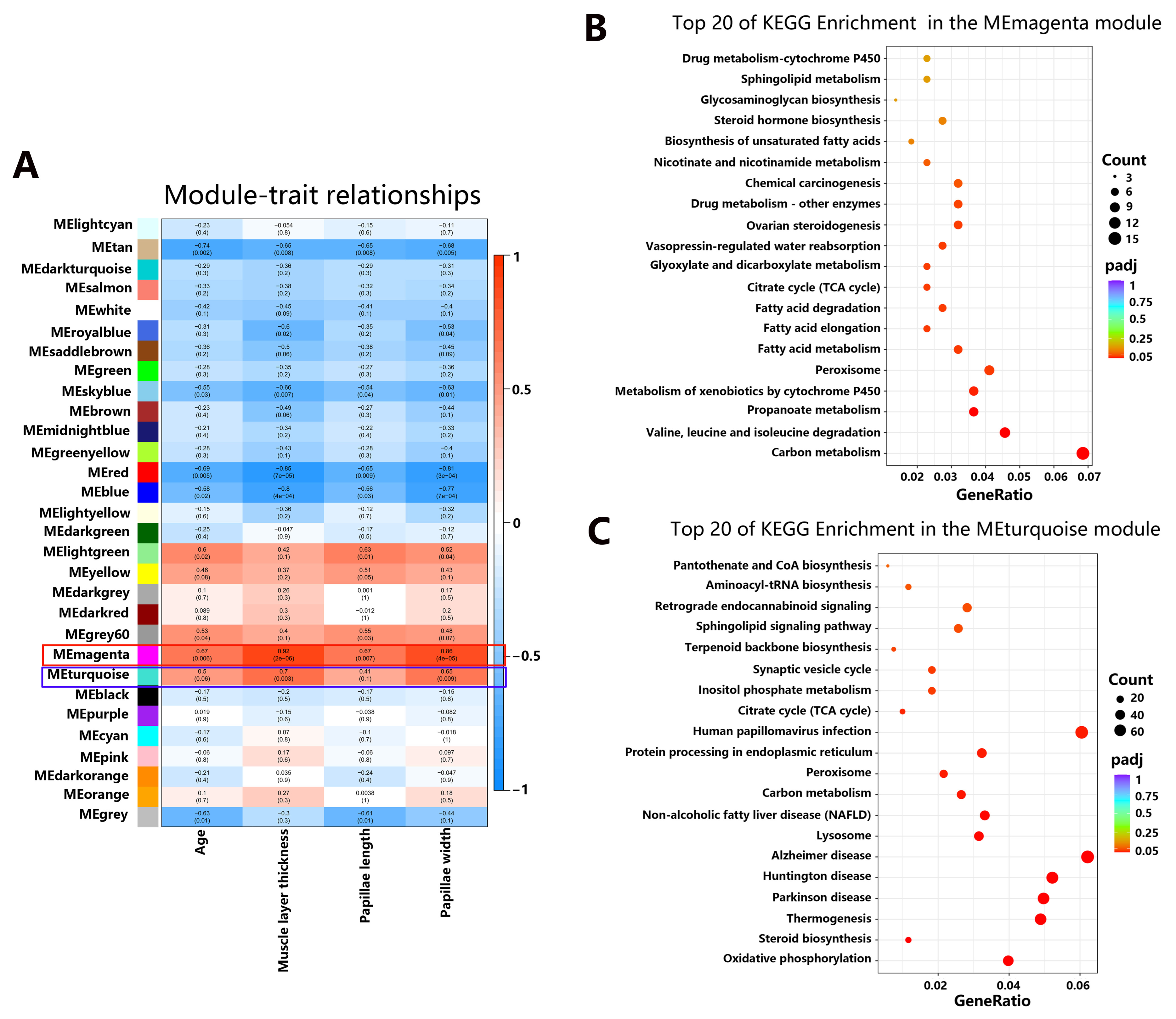 Animals 14 01365 g007