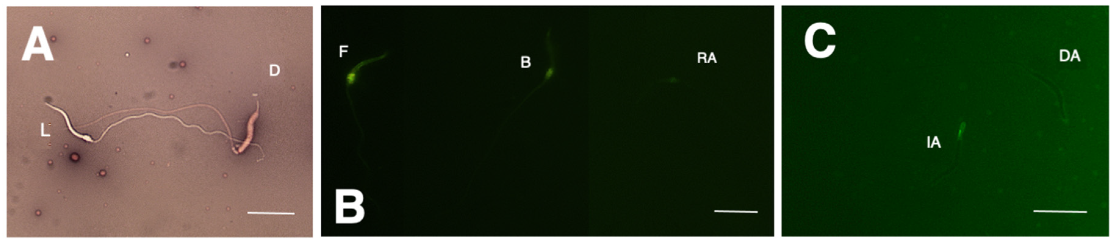 Animals 14 01388 g001