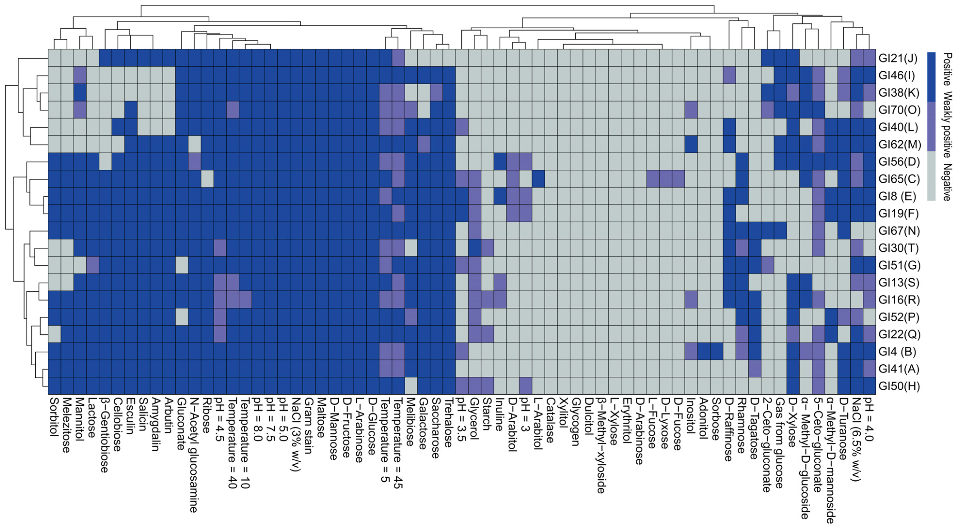 Animals 14 01394 g002