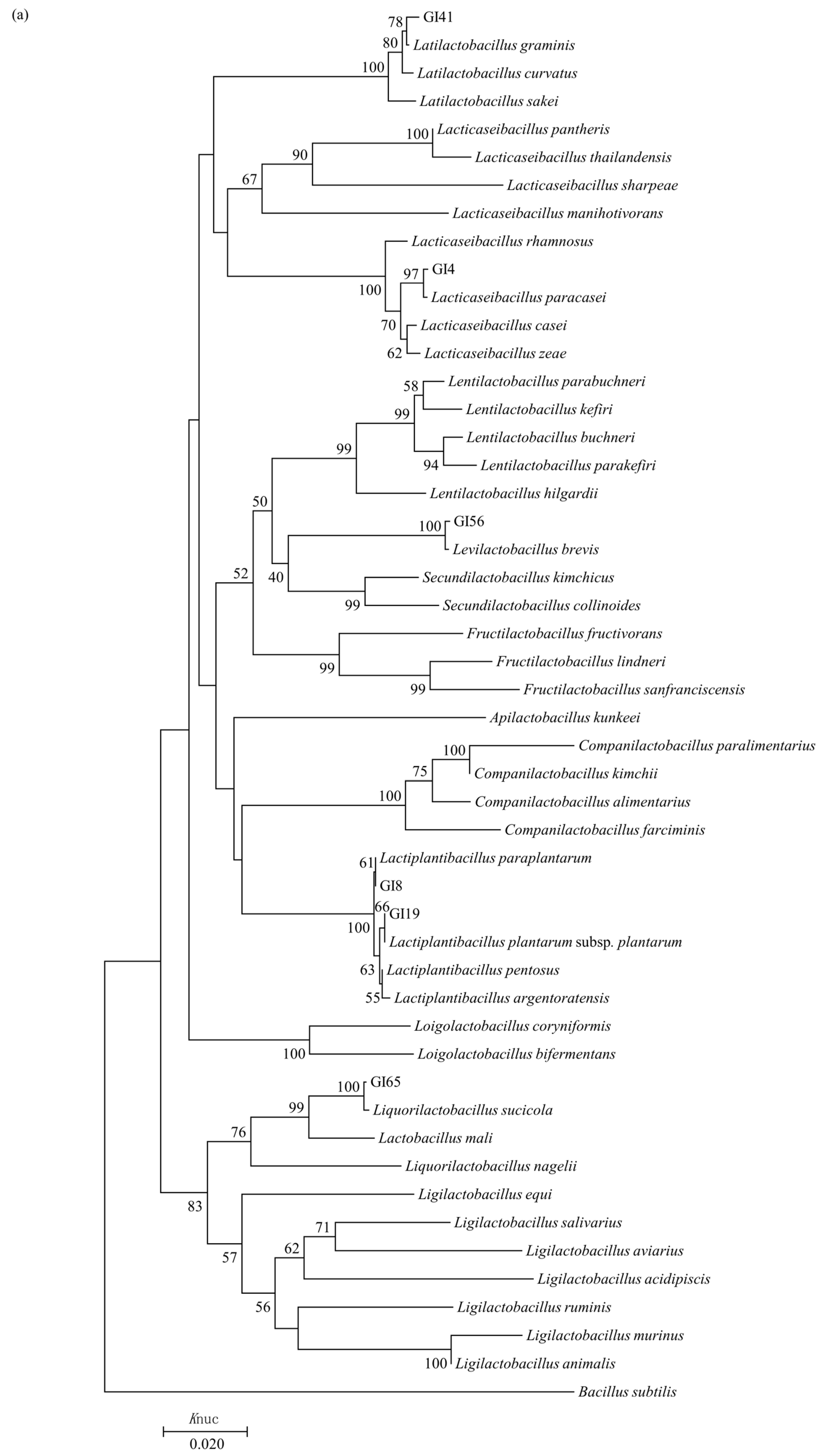 Animals 14 01394 g003a