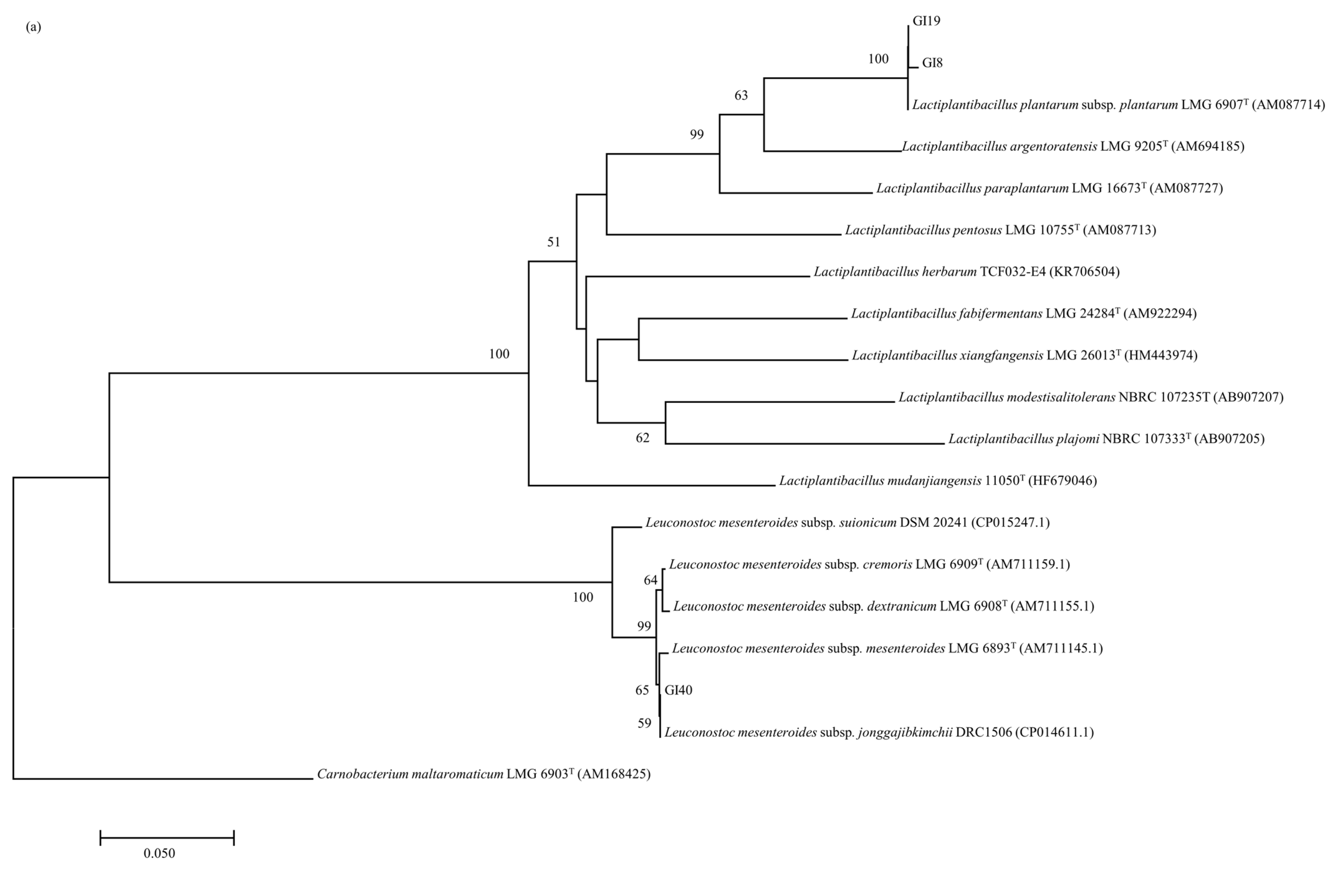 Animals 14 01394 g004a
