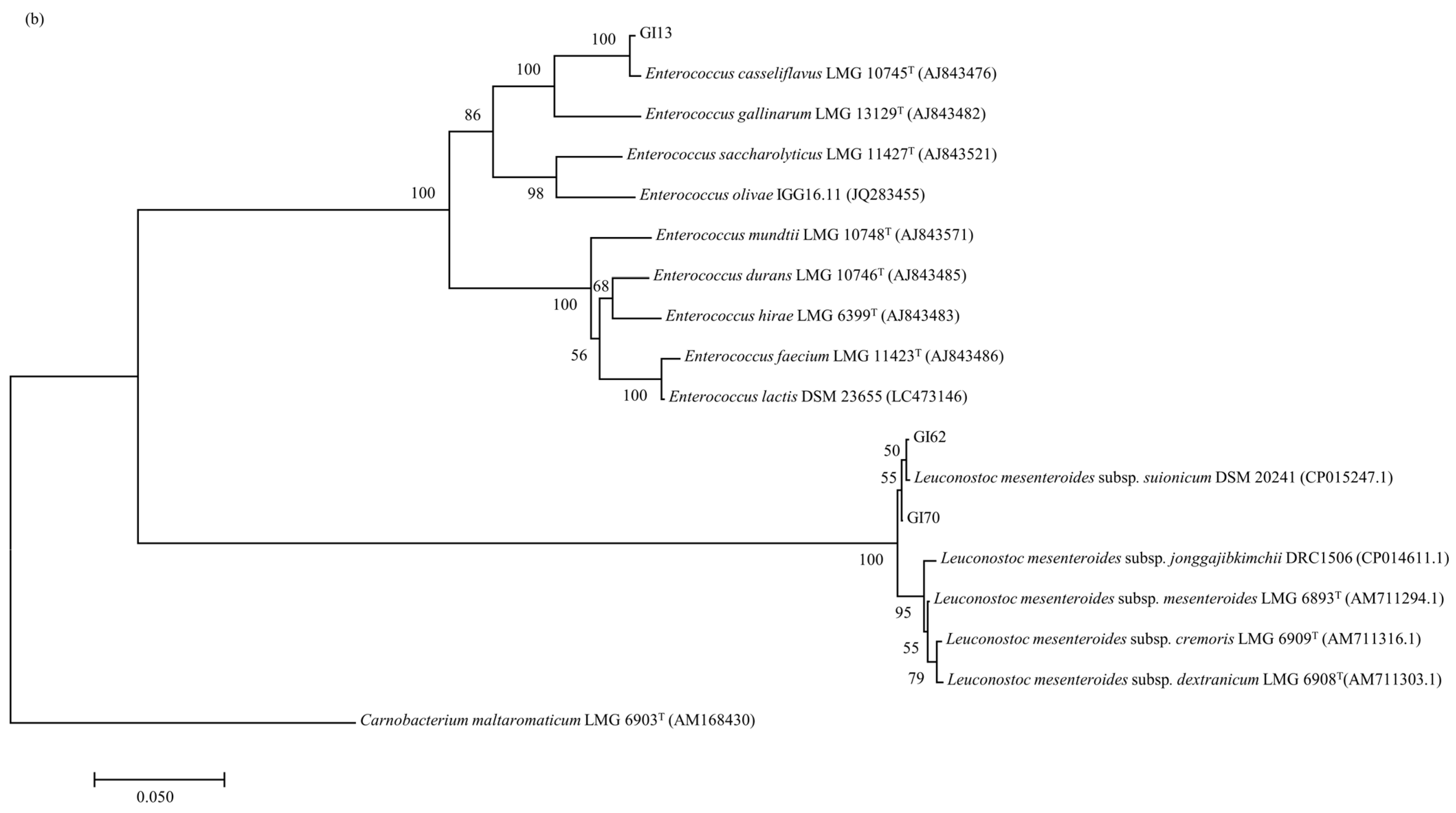 Animals 14 01394 g004b