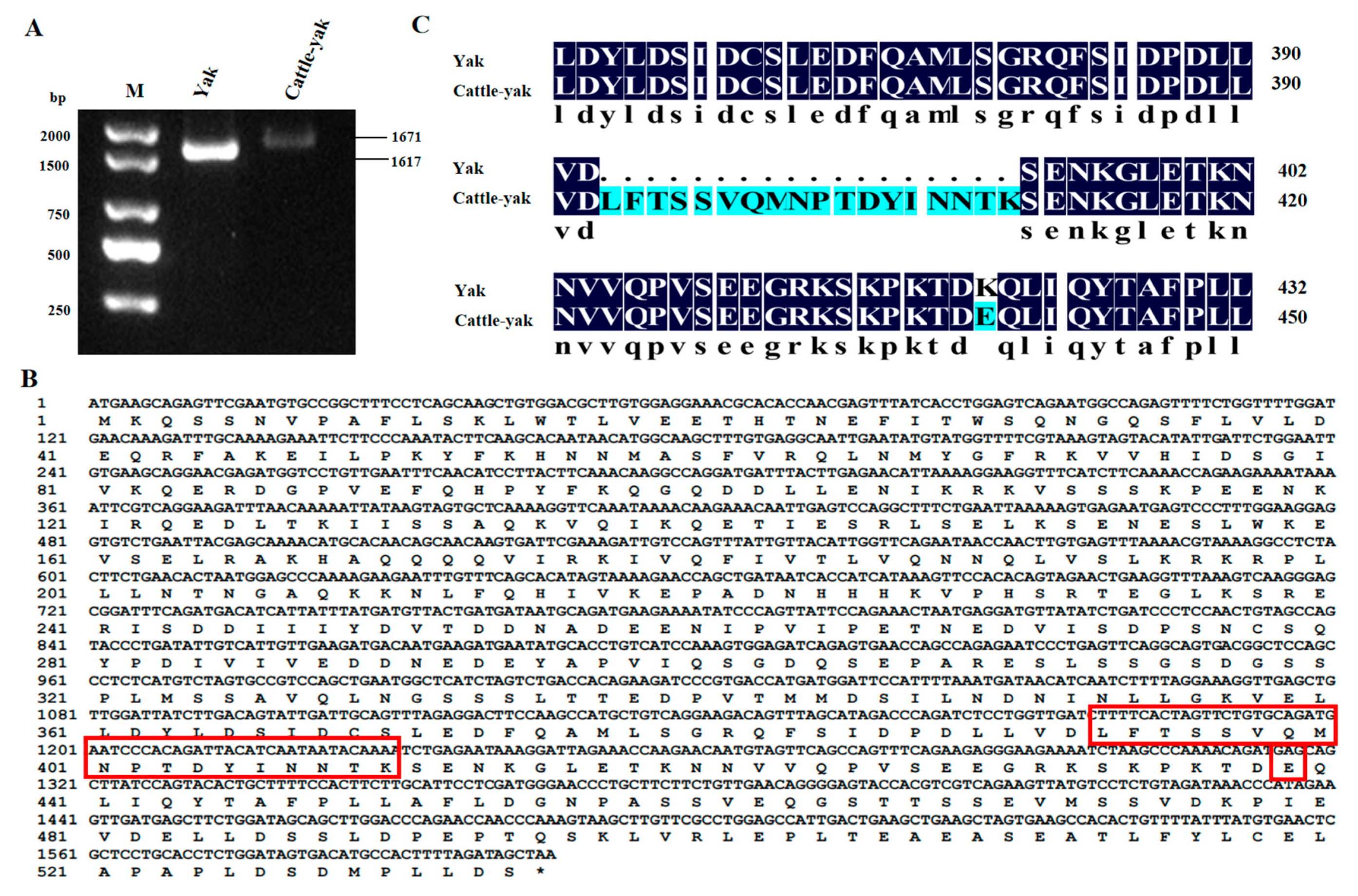 Animals 14 01410 g001