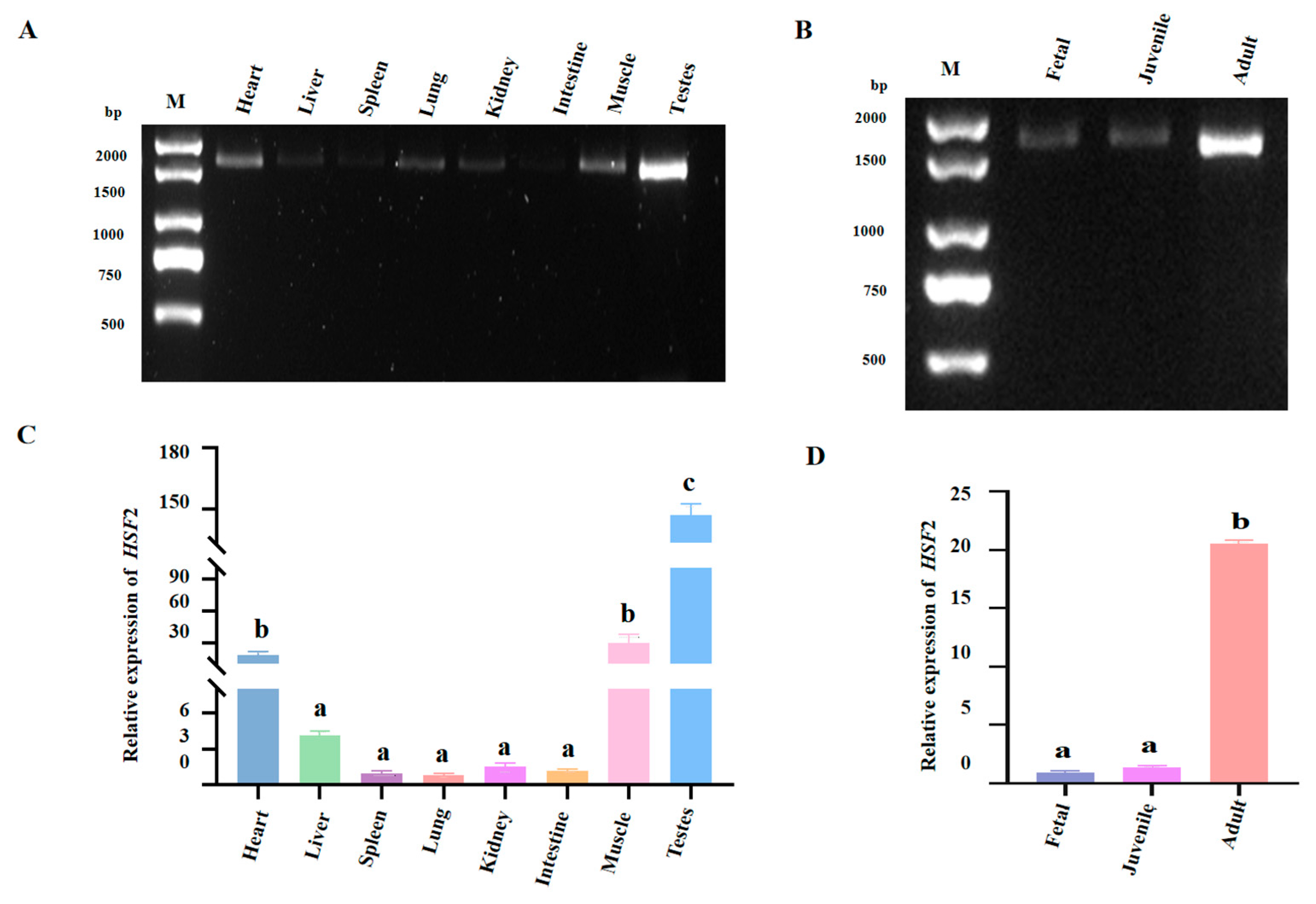 Animals 14 01410 g004