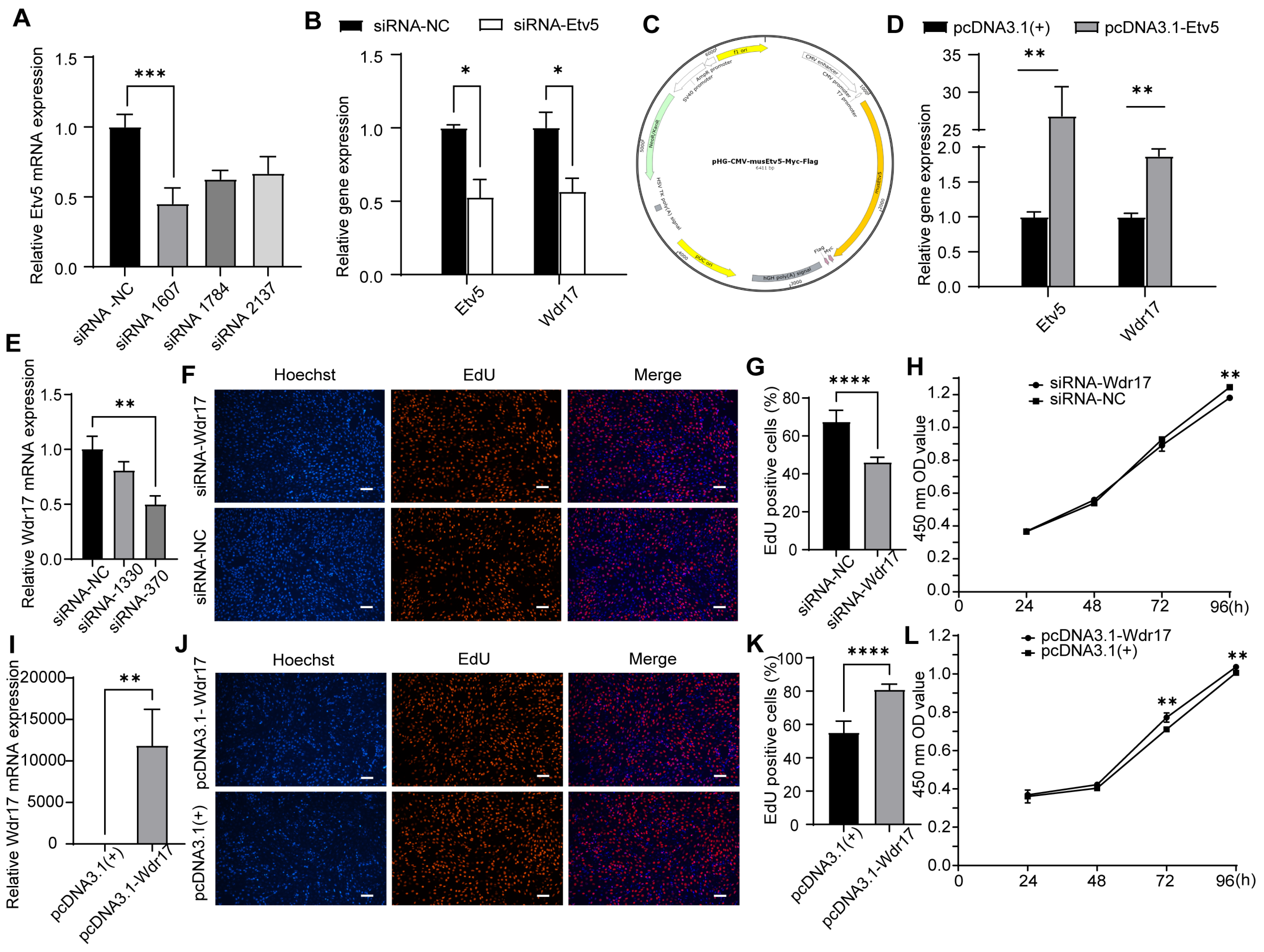 Animals 14 01418 g002