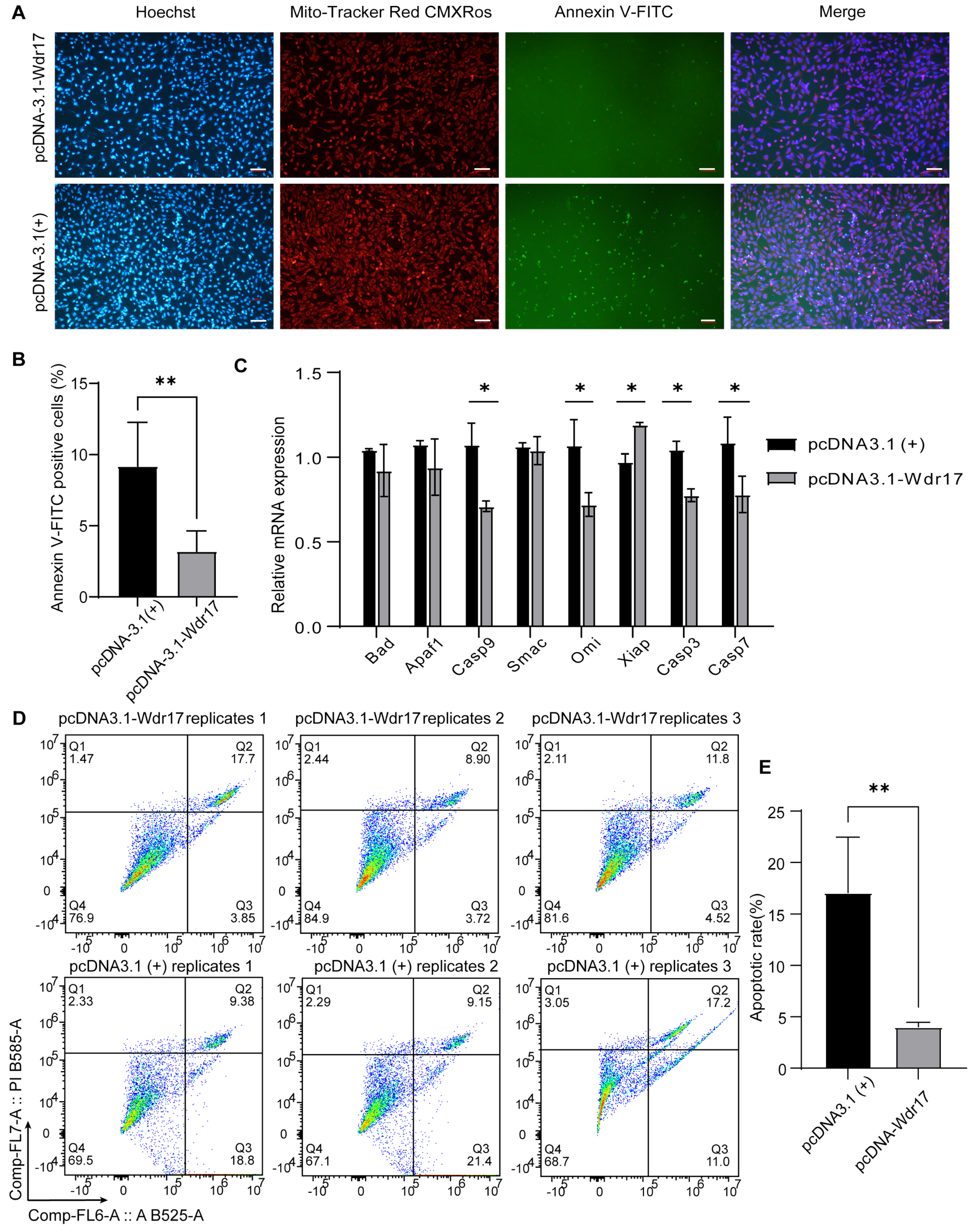 Animals 14 01418 g004