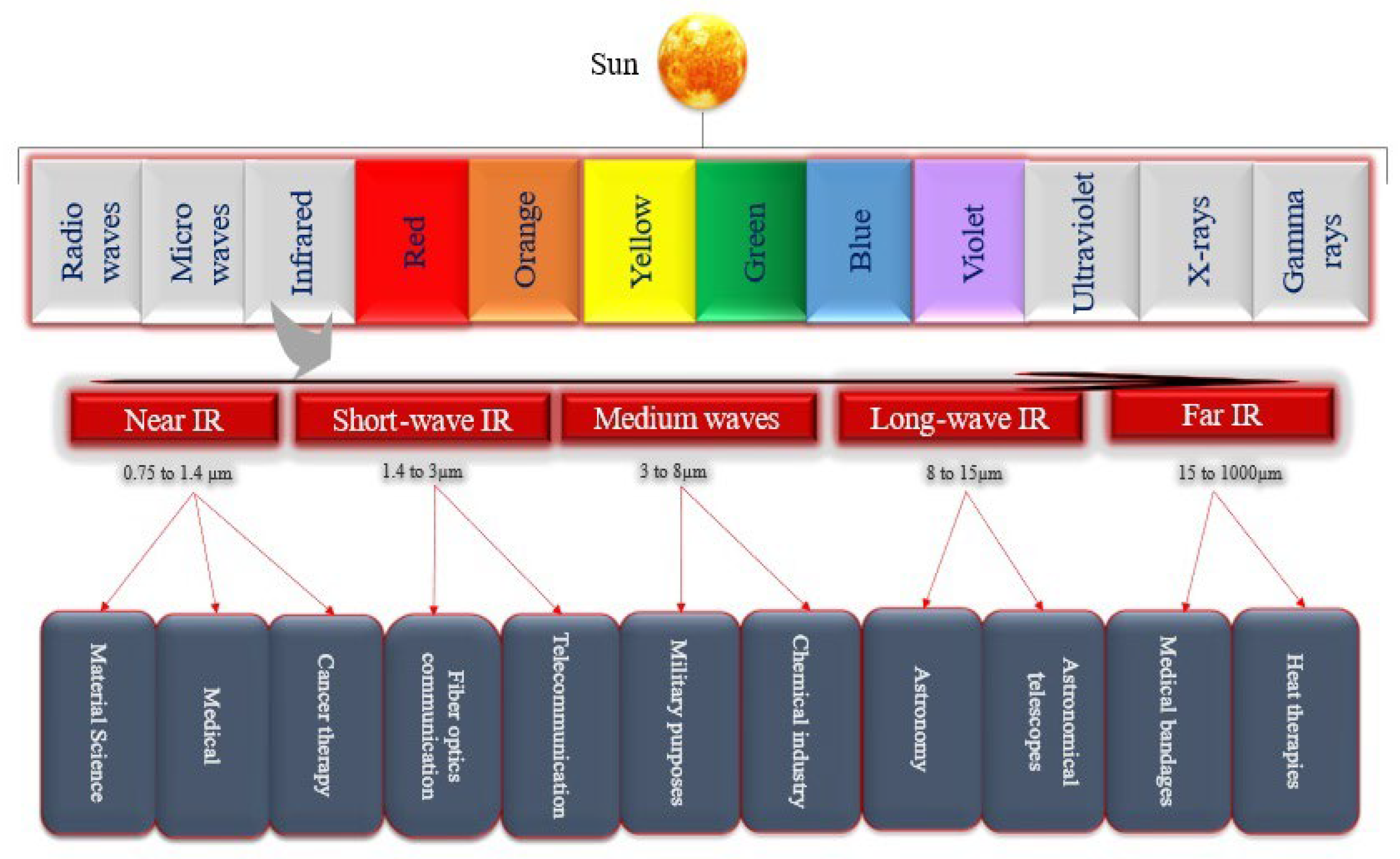 Animals 14 01431 g001