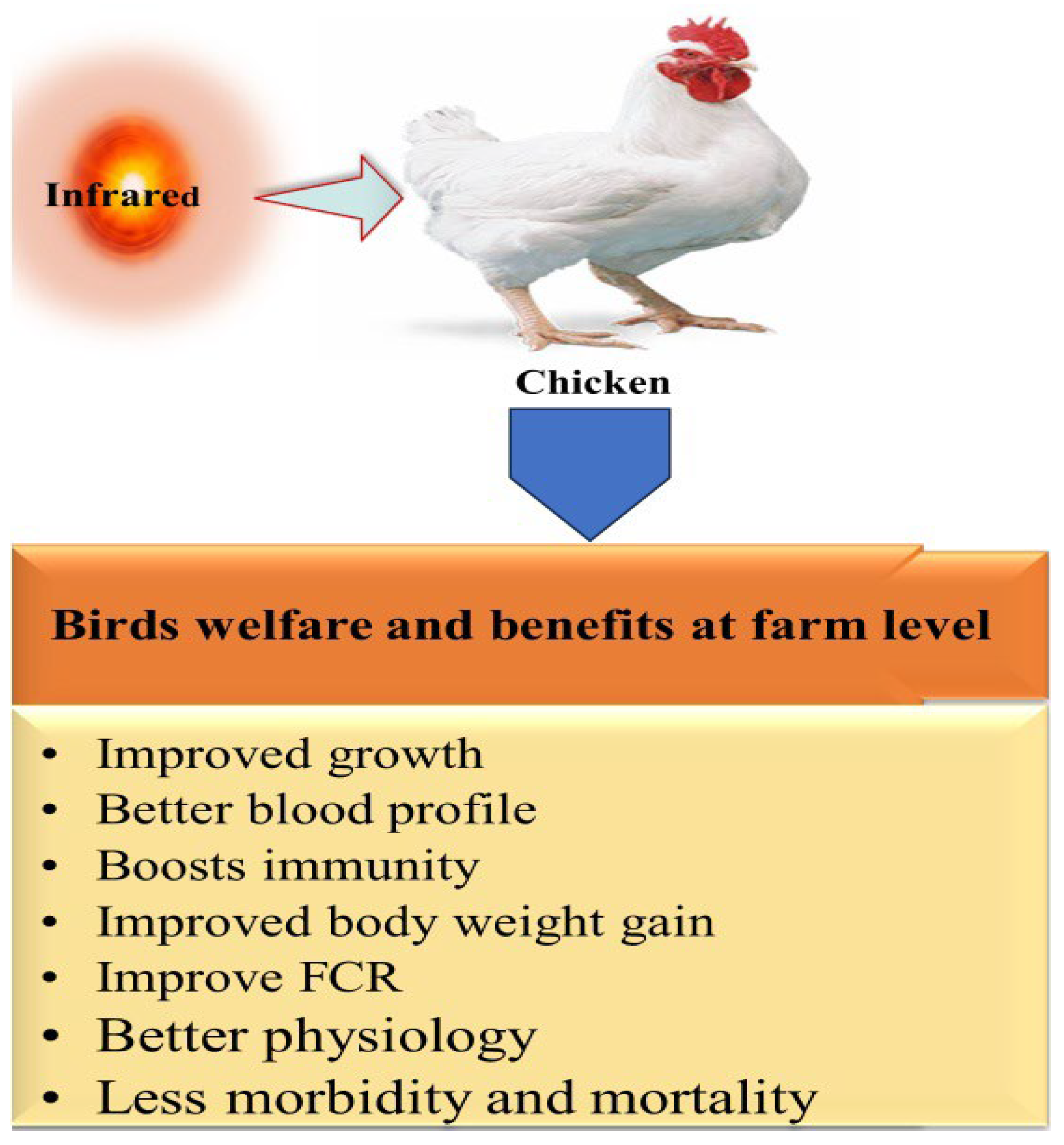 Animals 14 01431 g007