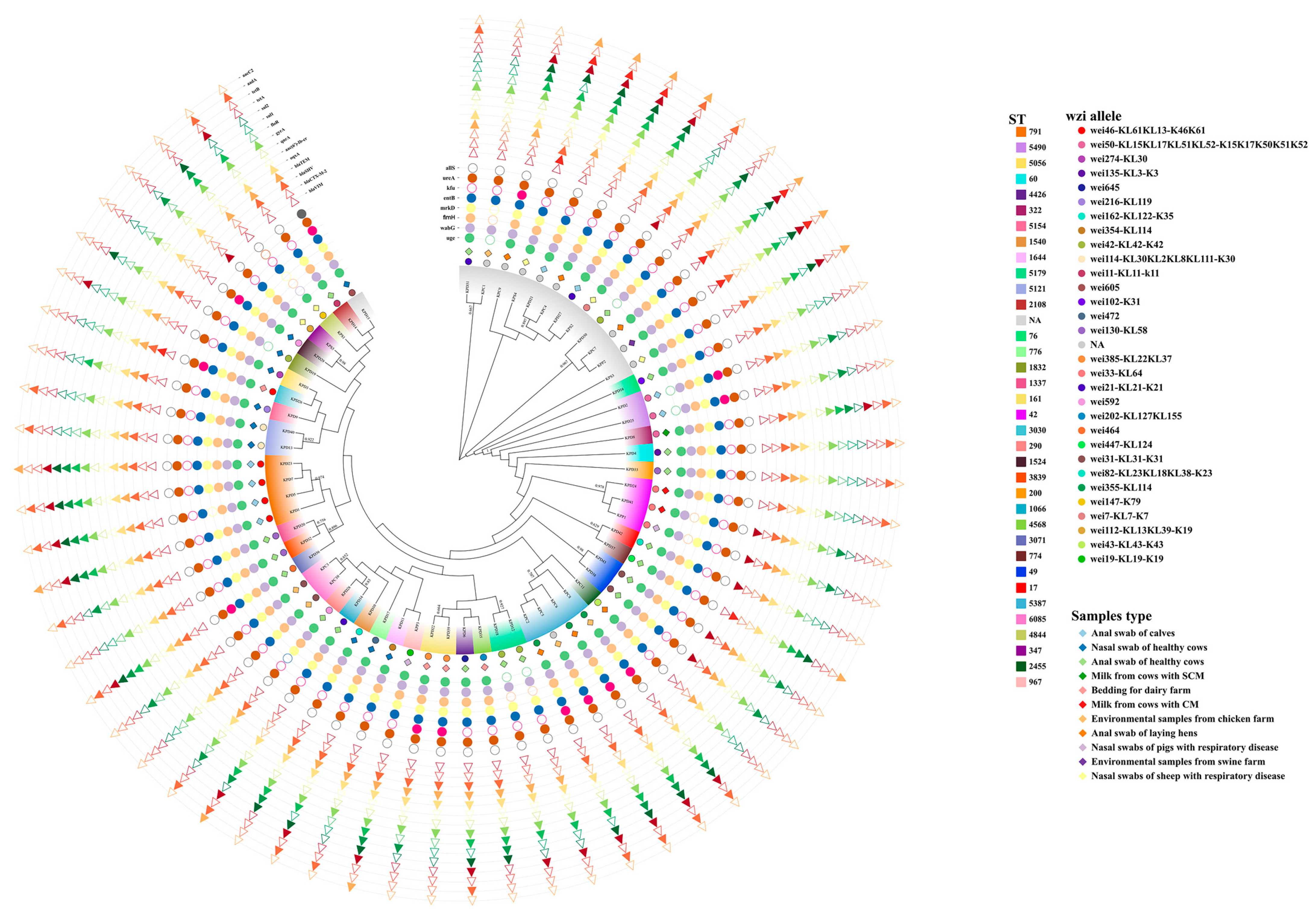 Animals 14 01433 g002