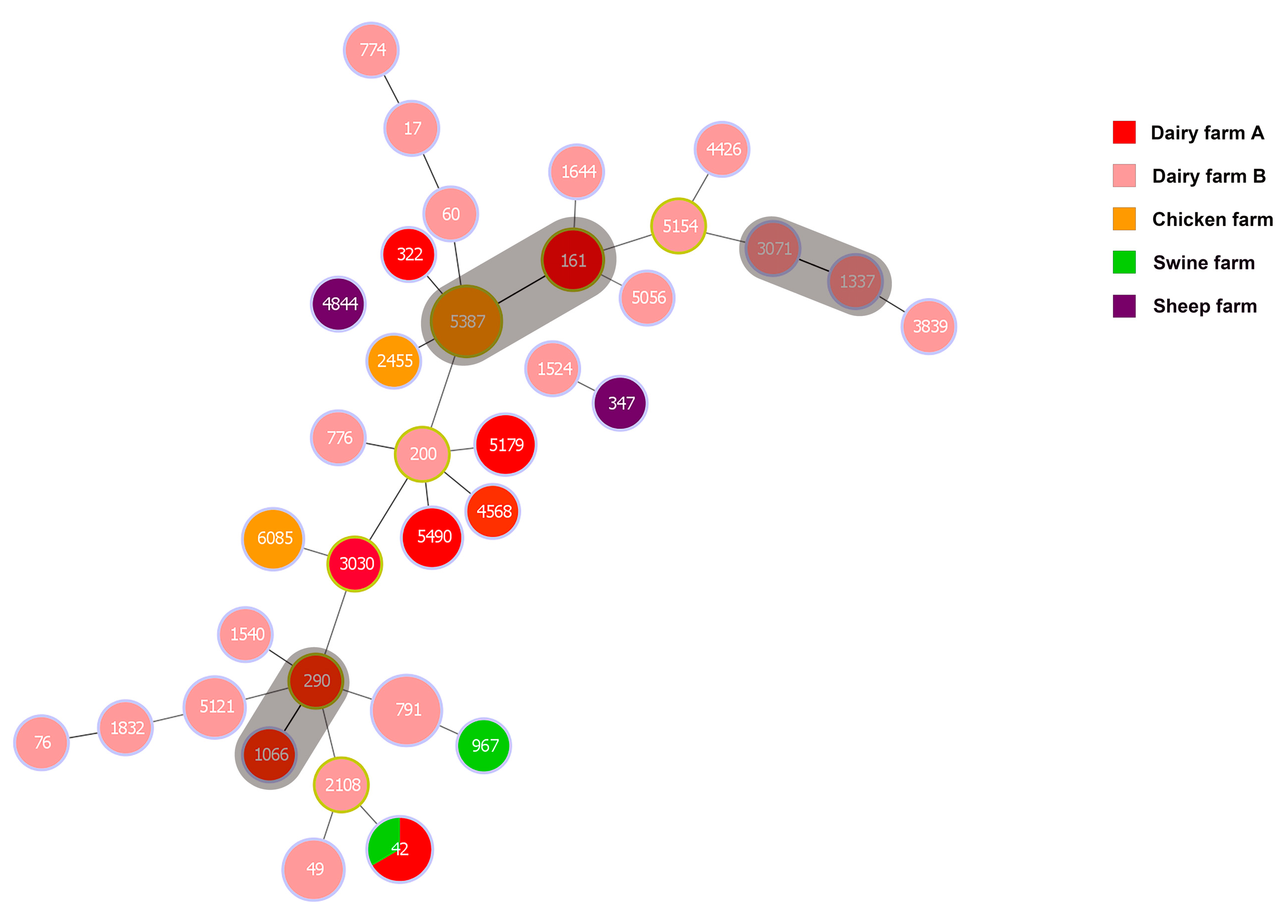 Animals 14 01433 g003