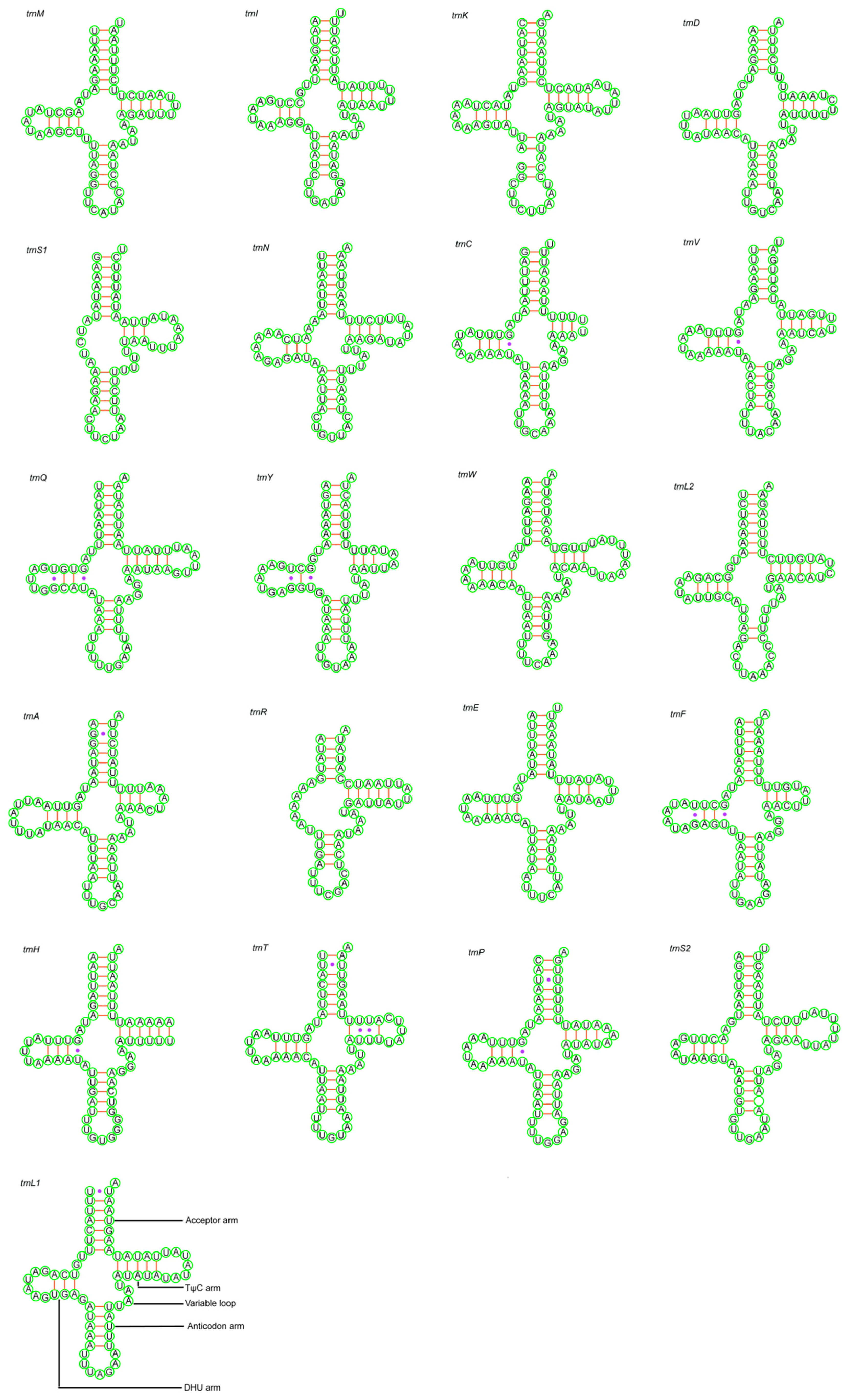 Animals 14 01454 g003