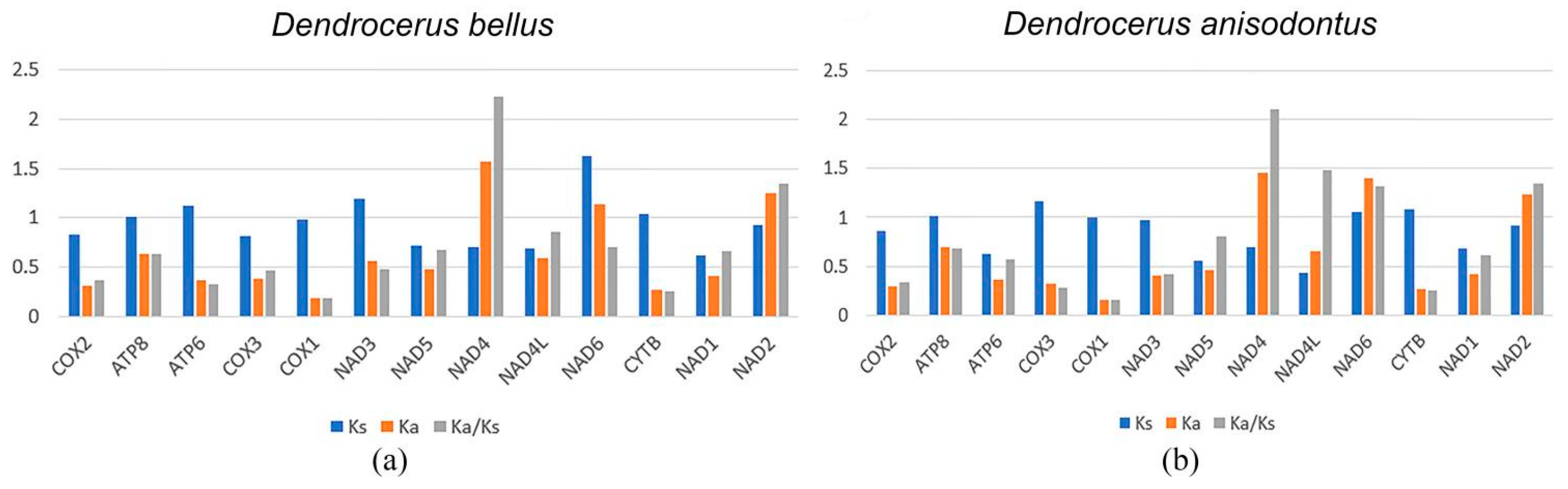 Animals 14 01454 g005