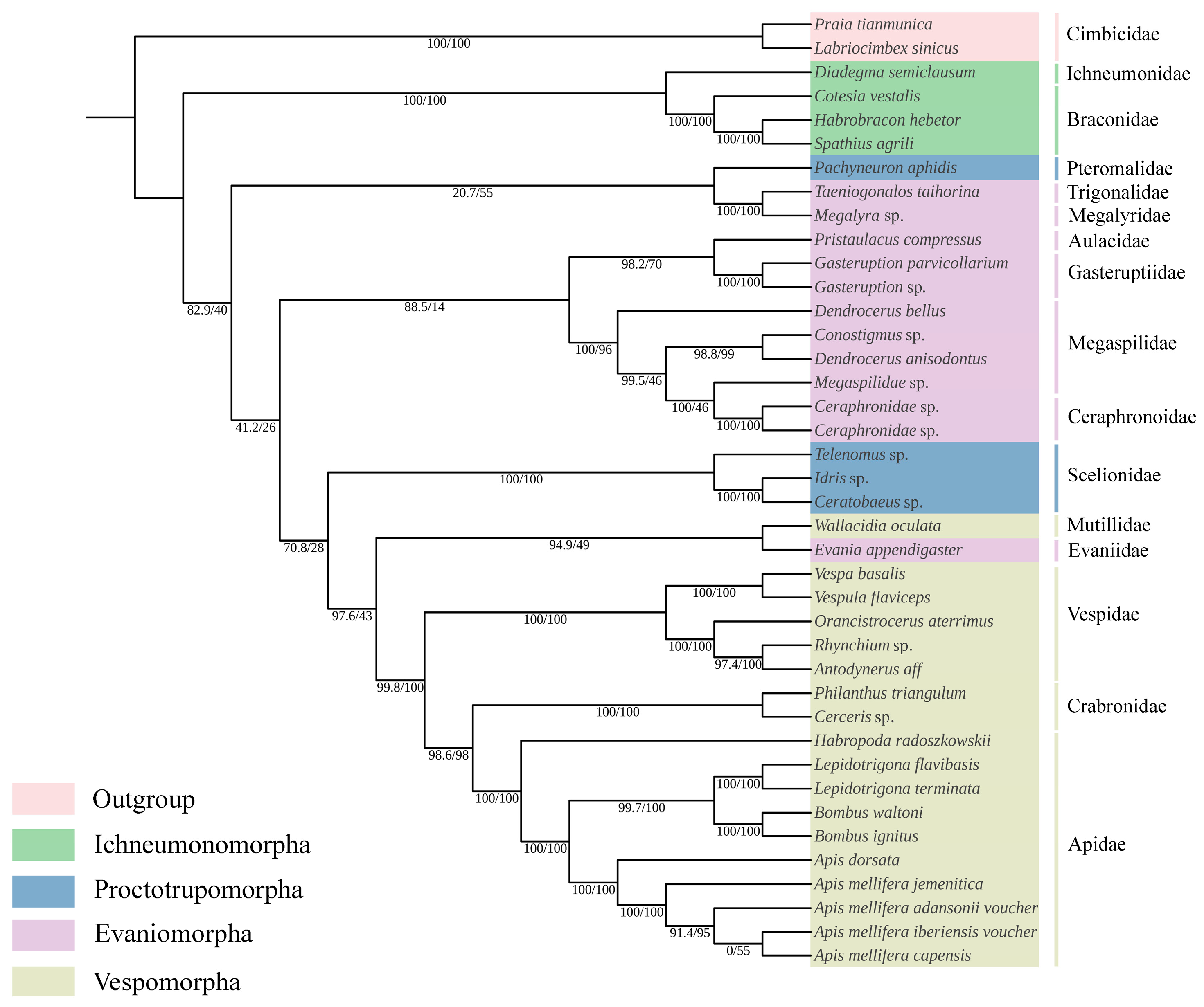 Animals 14 01454 g007