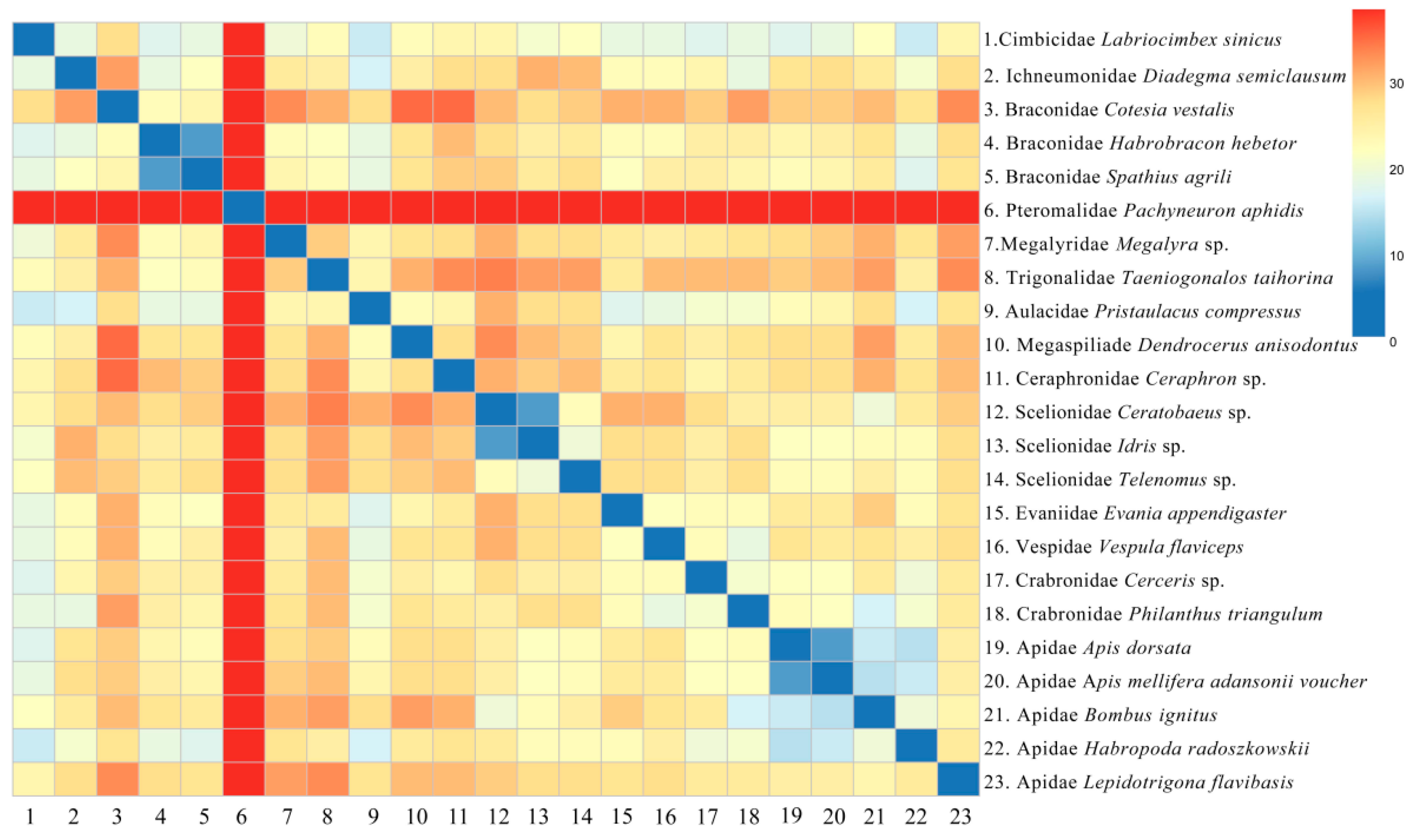 Animals 14 01454 g008