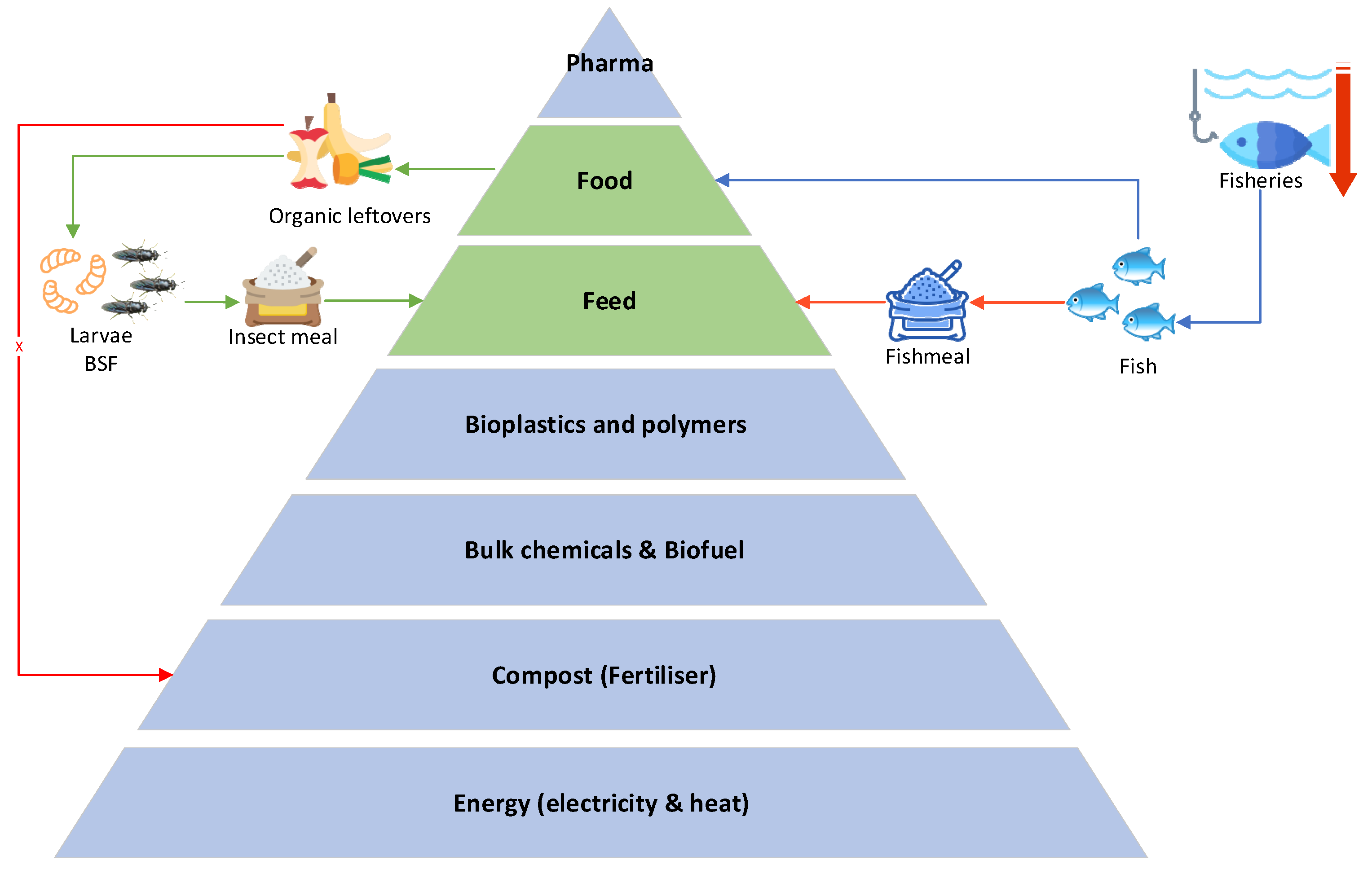 Animals 14 01461 g001
