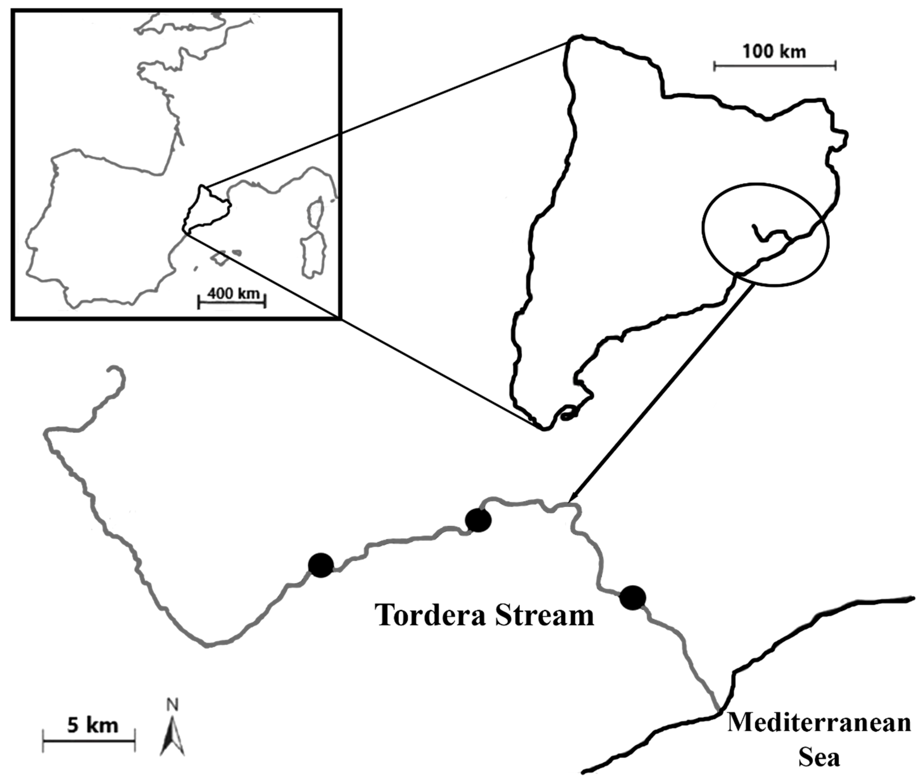 Animals 14 01502 g001