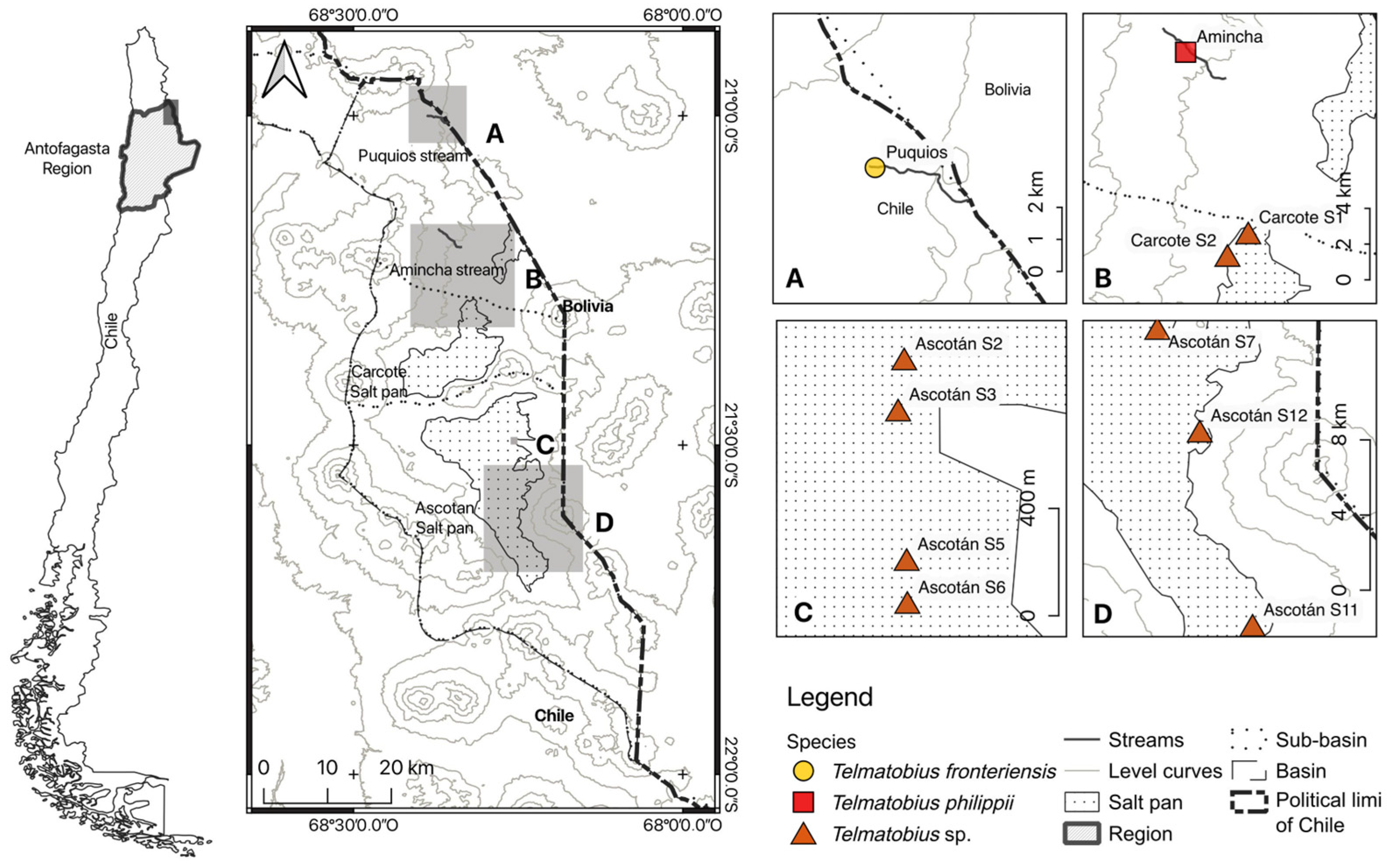 Animals 14 03612 g001