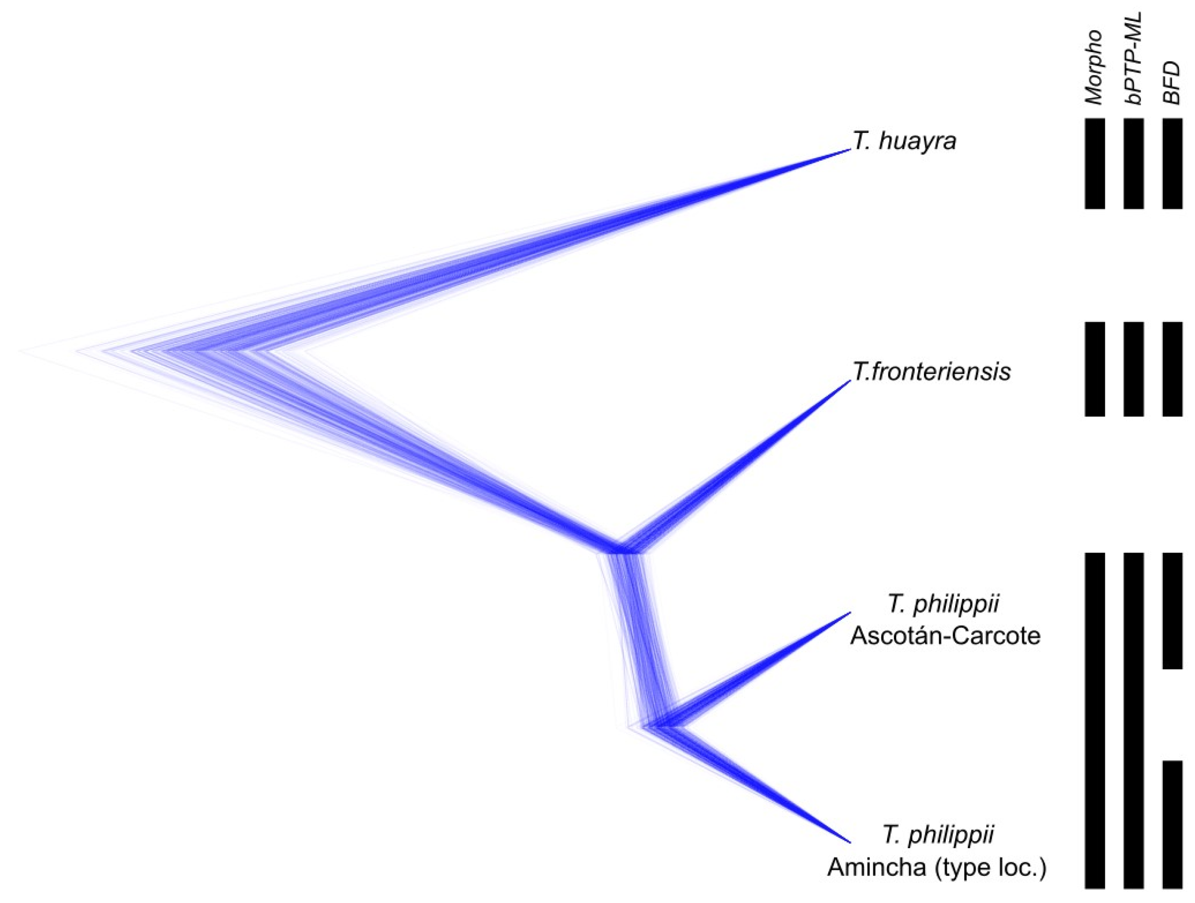 Animals 14 03612 g004