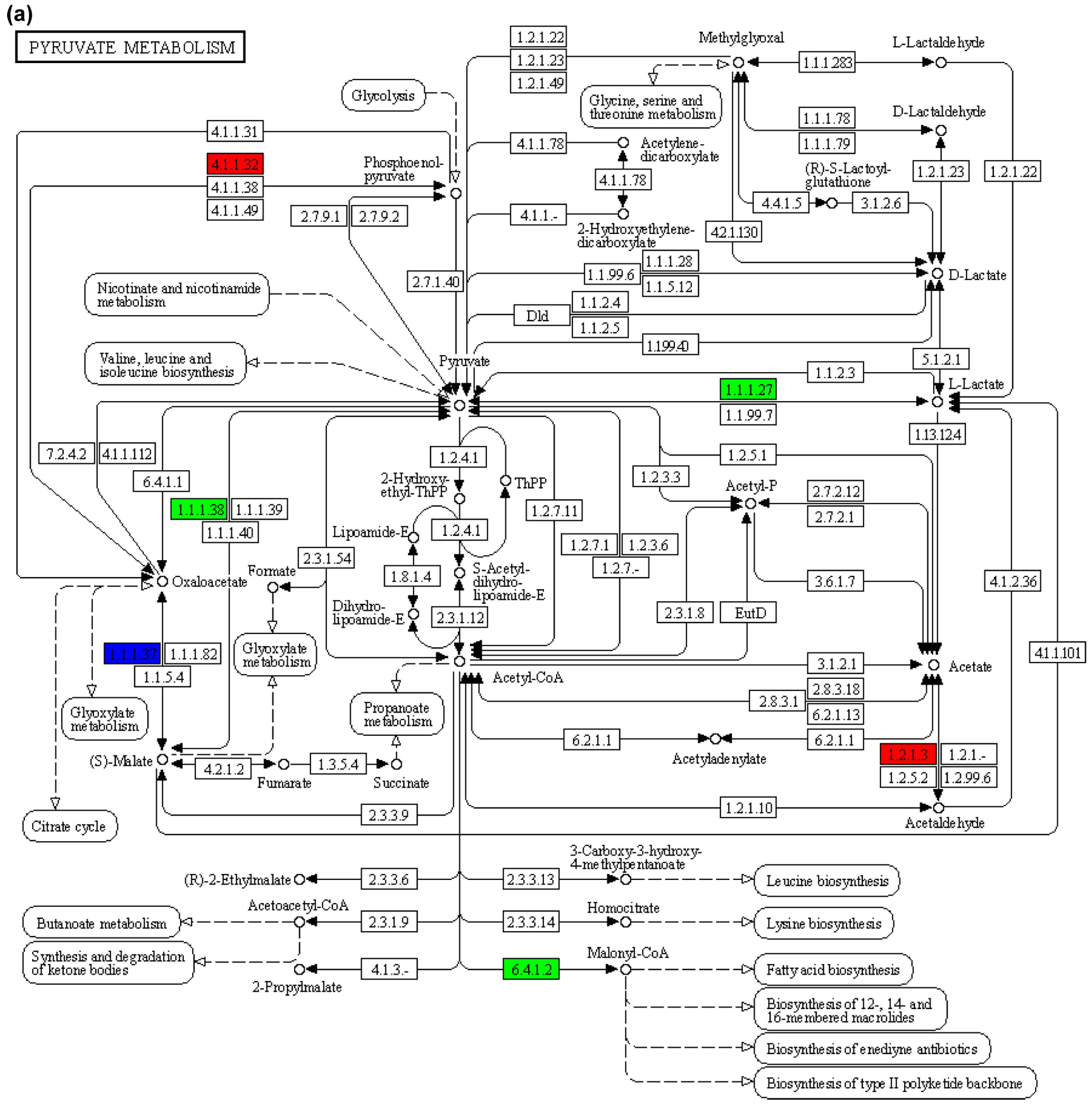 Animals 15 02962 g008a Animals 15 02962 g008a