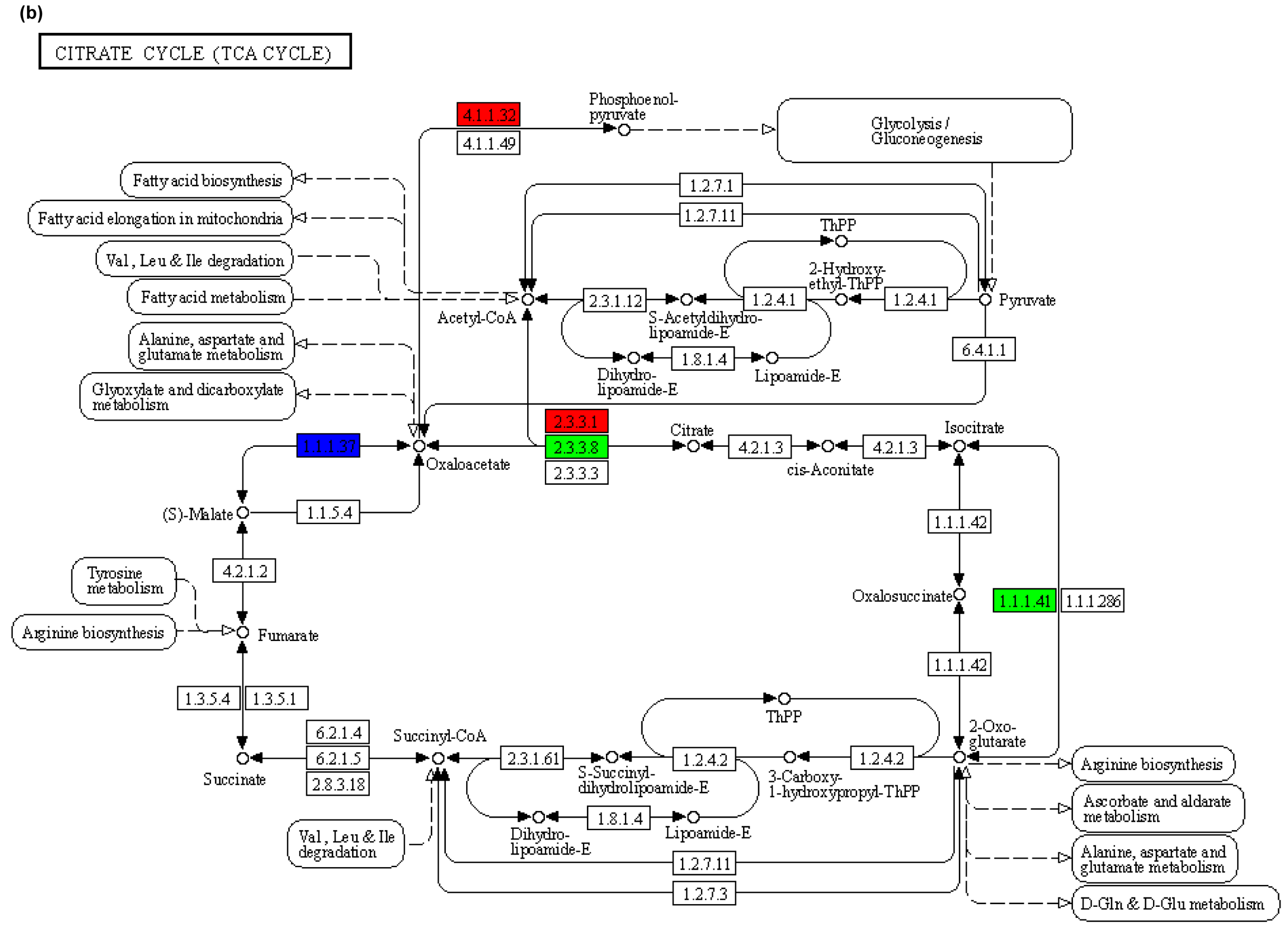 Animals 15 02962 g008b Animals 15 02962 g008b