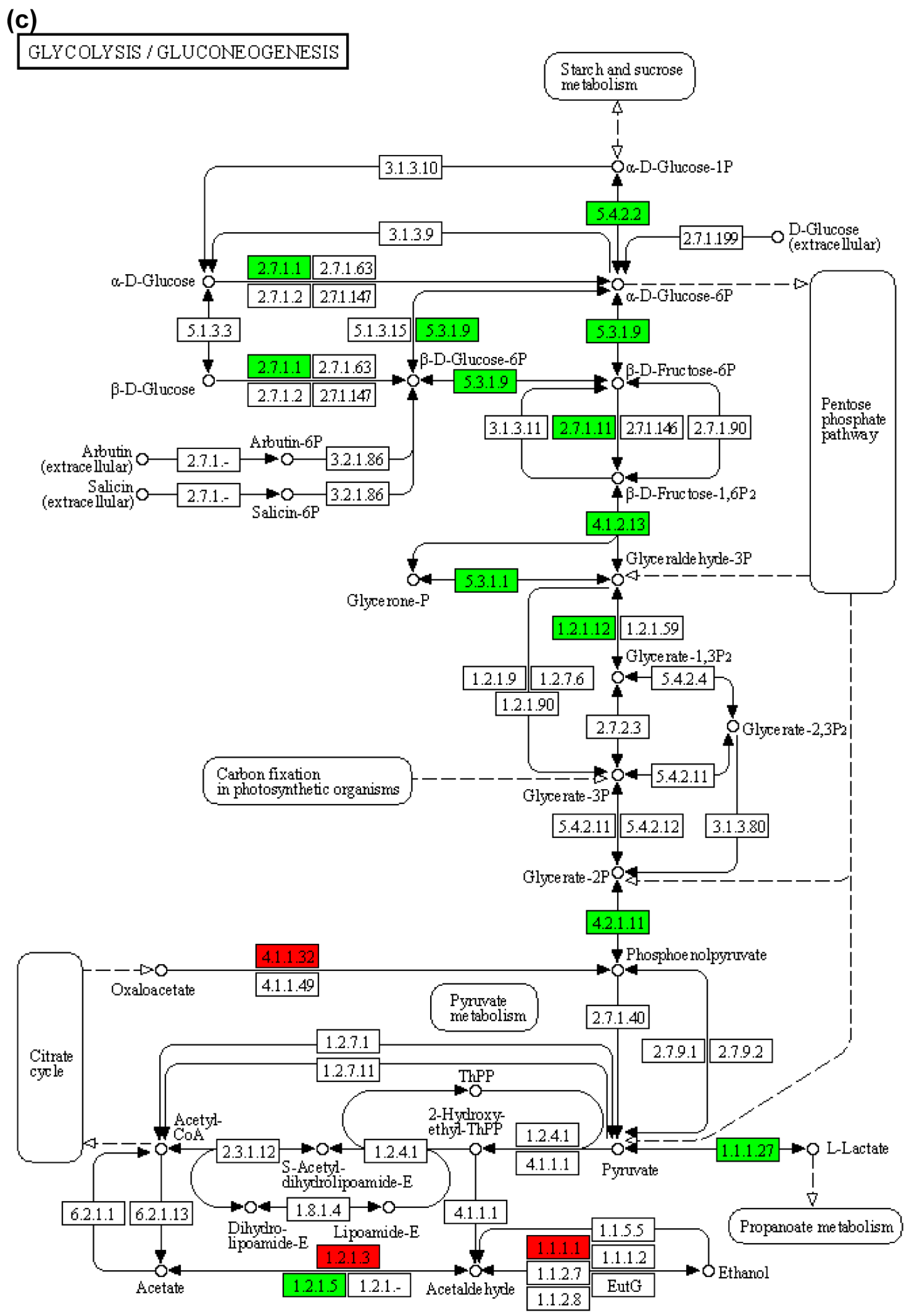 Animals 15 02962 g008c Animals 15 02962 g008c