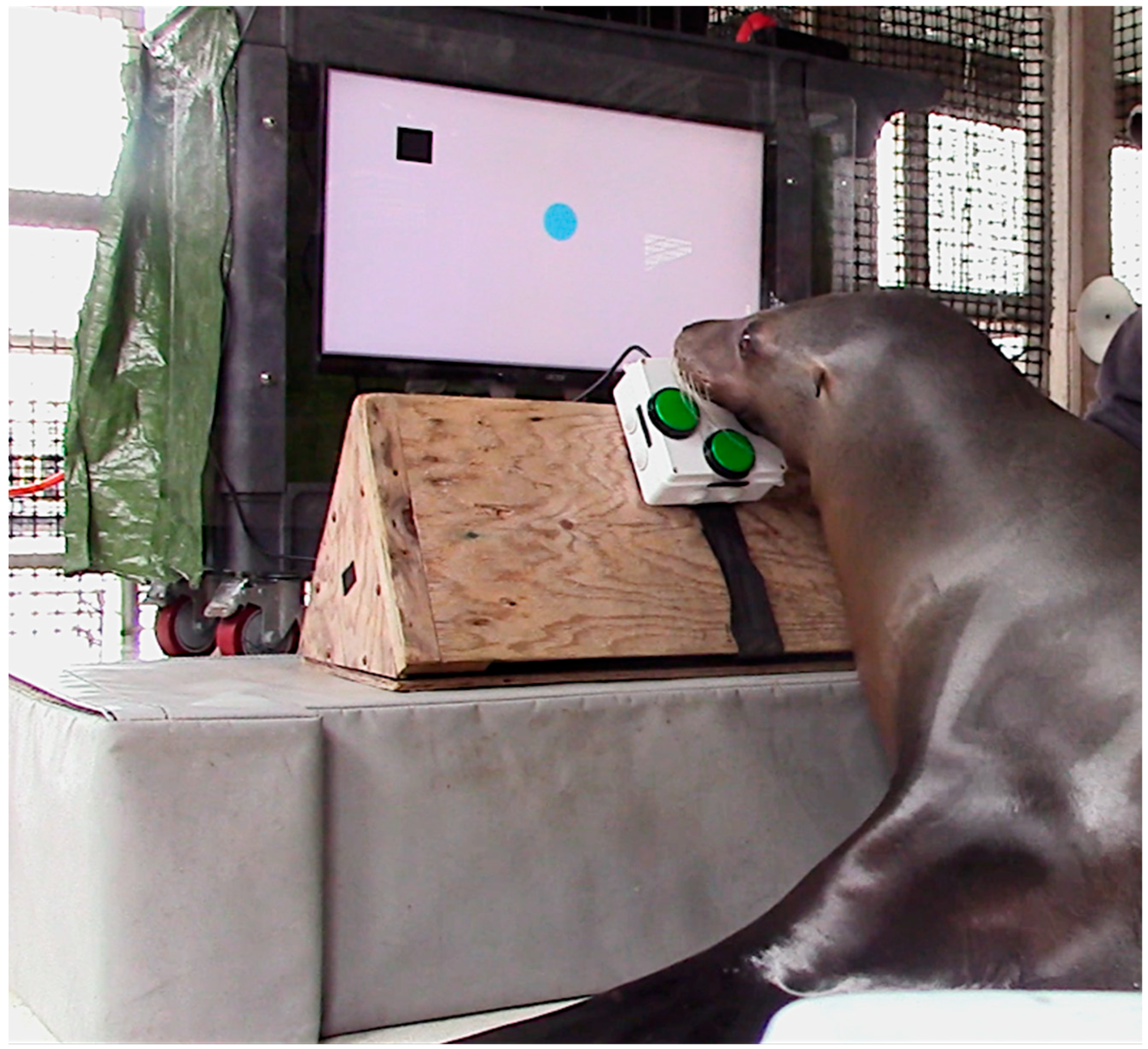 Animals 15 03007 g001 Animals 15 03007 g001