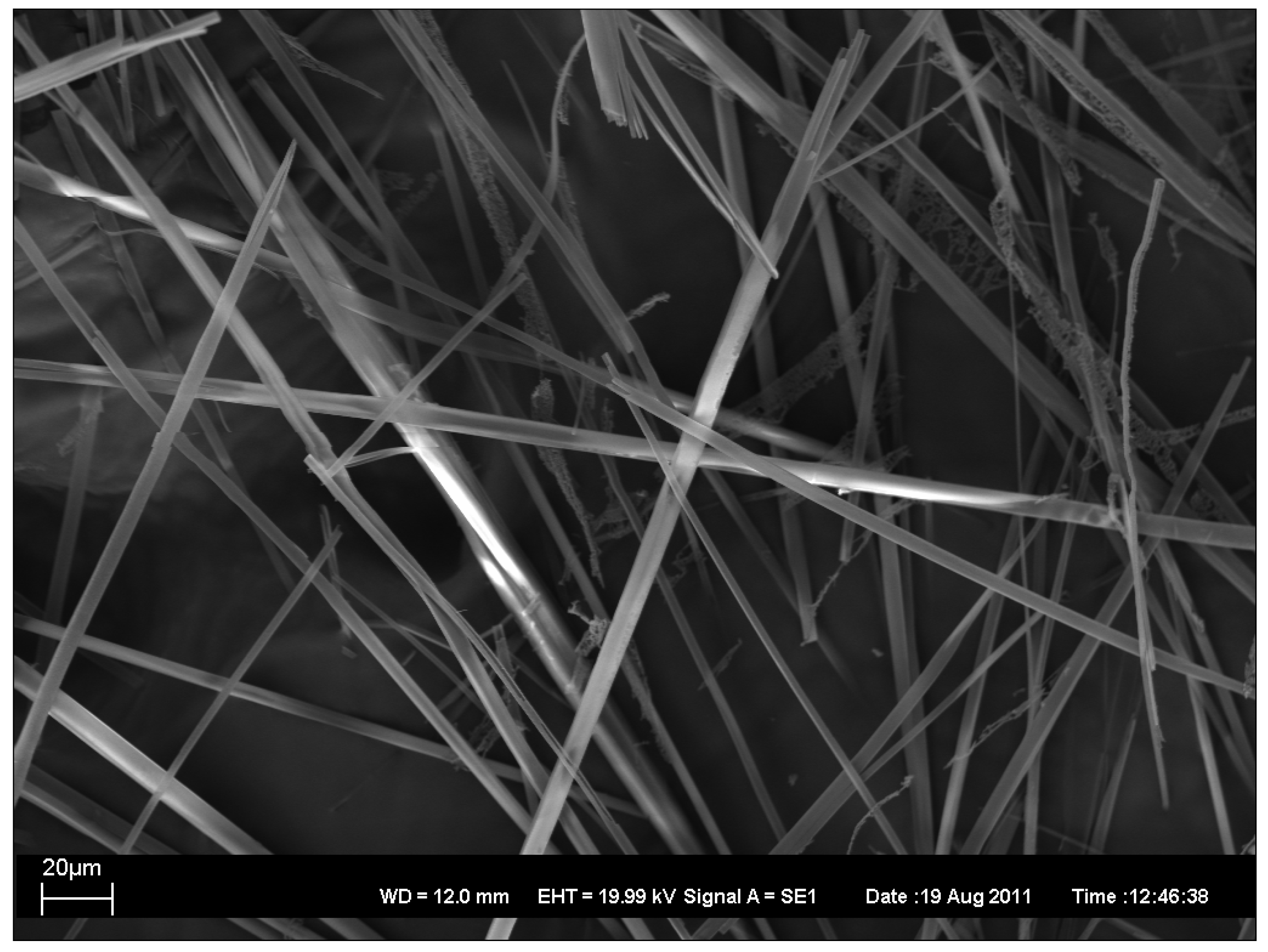 Antibiotics 01 00017 g004