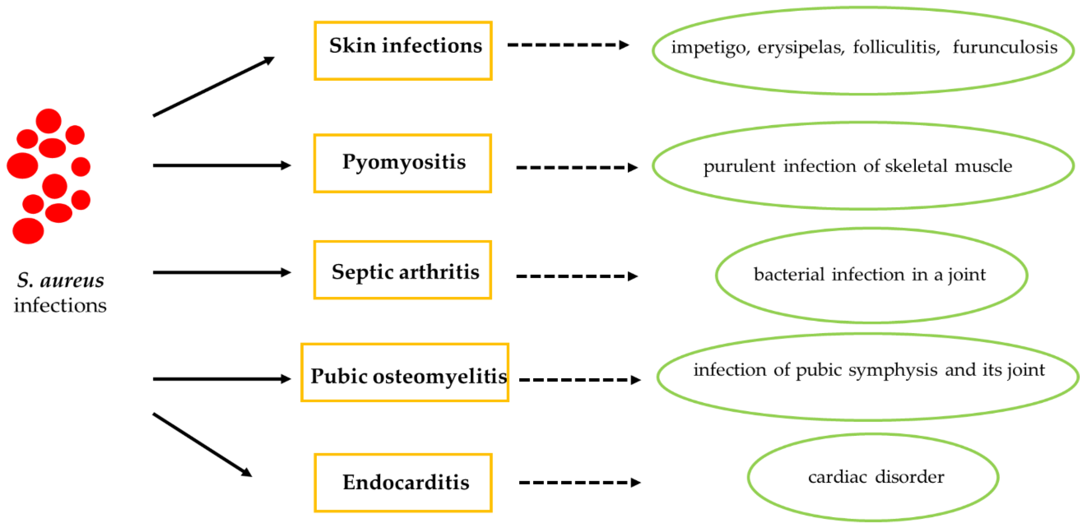 Antibiotics 09 00332 g003