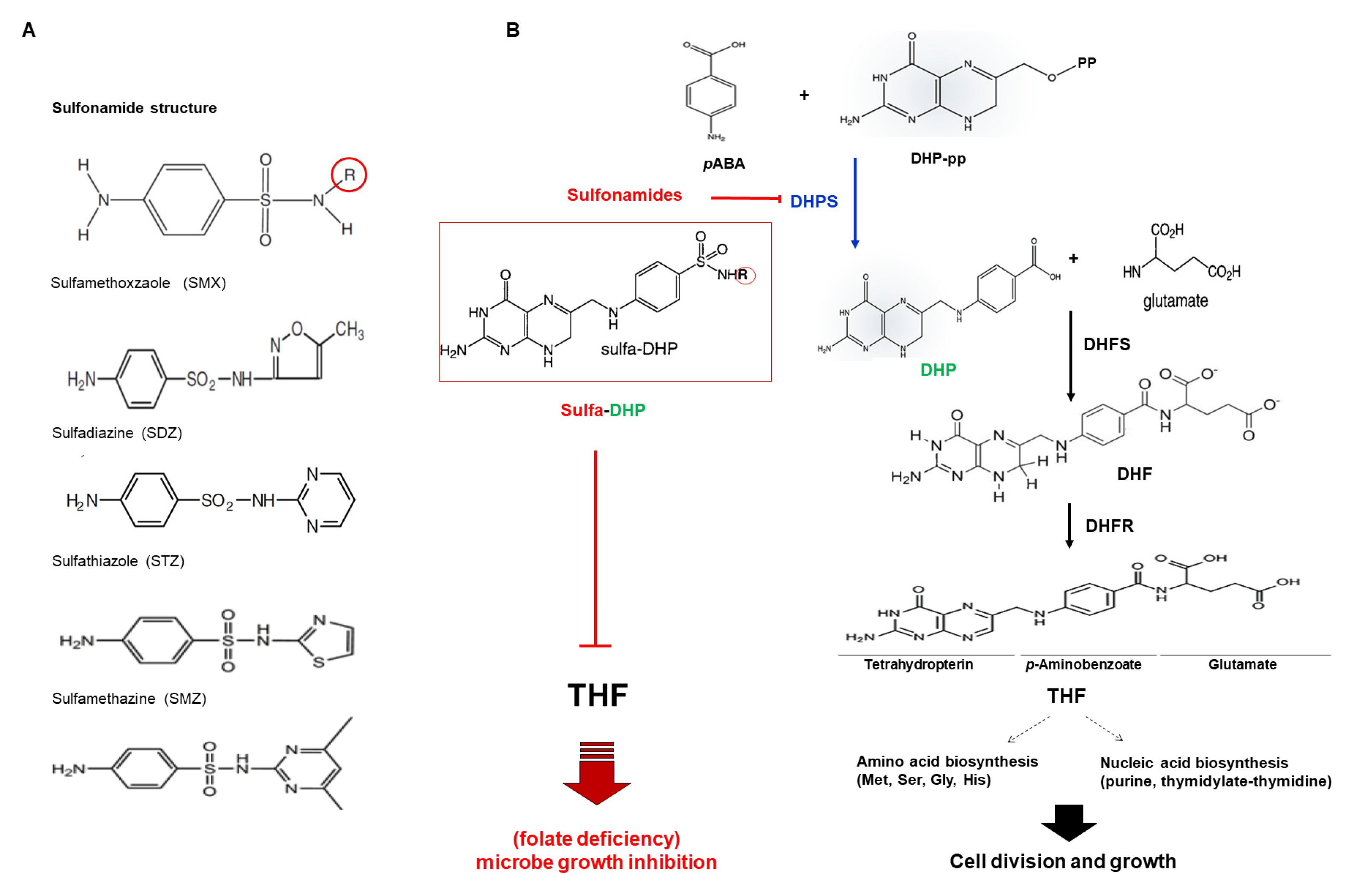 Antibiotics 09 00456 g001