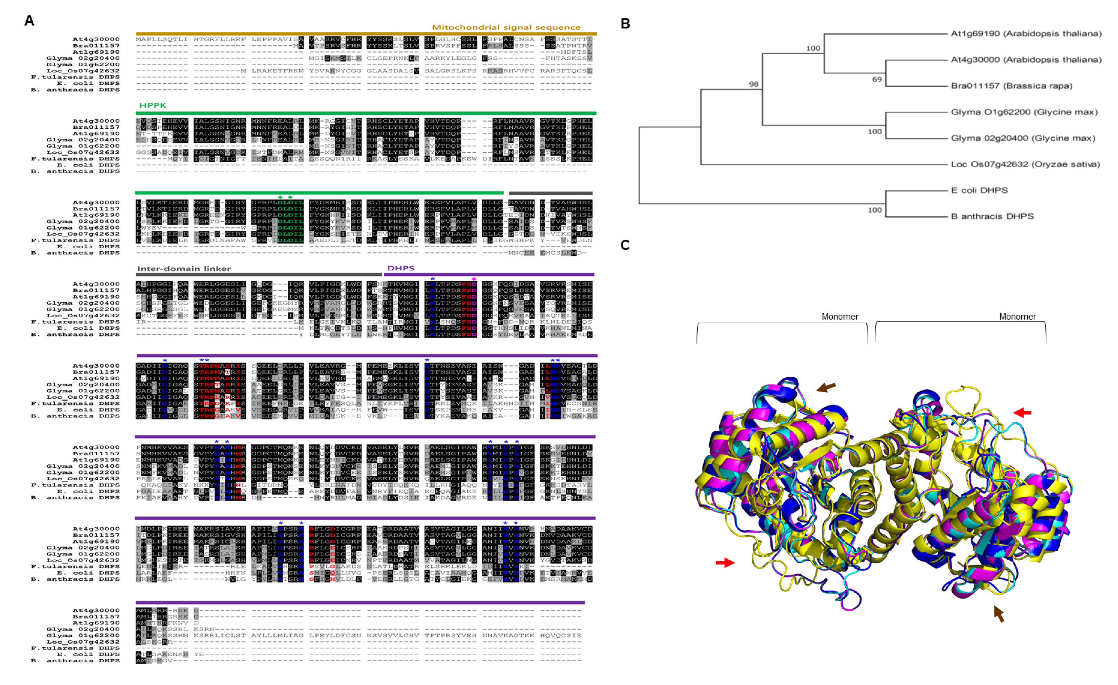 Antibiotics 09 00456 g003