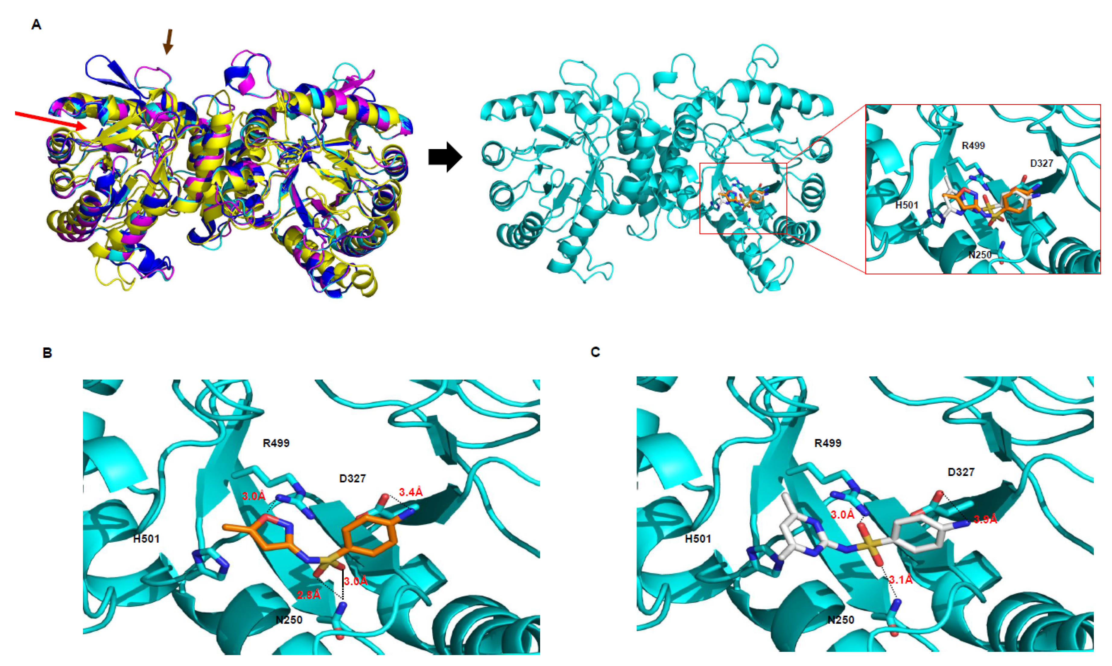Antibiotics 09 00456 g004
