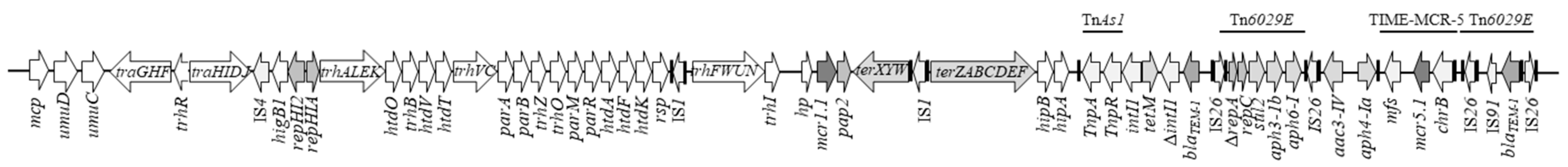 Antibiotics 11 00102 g001