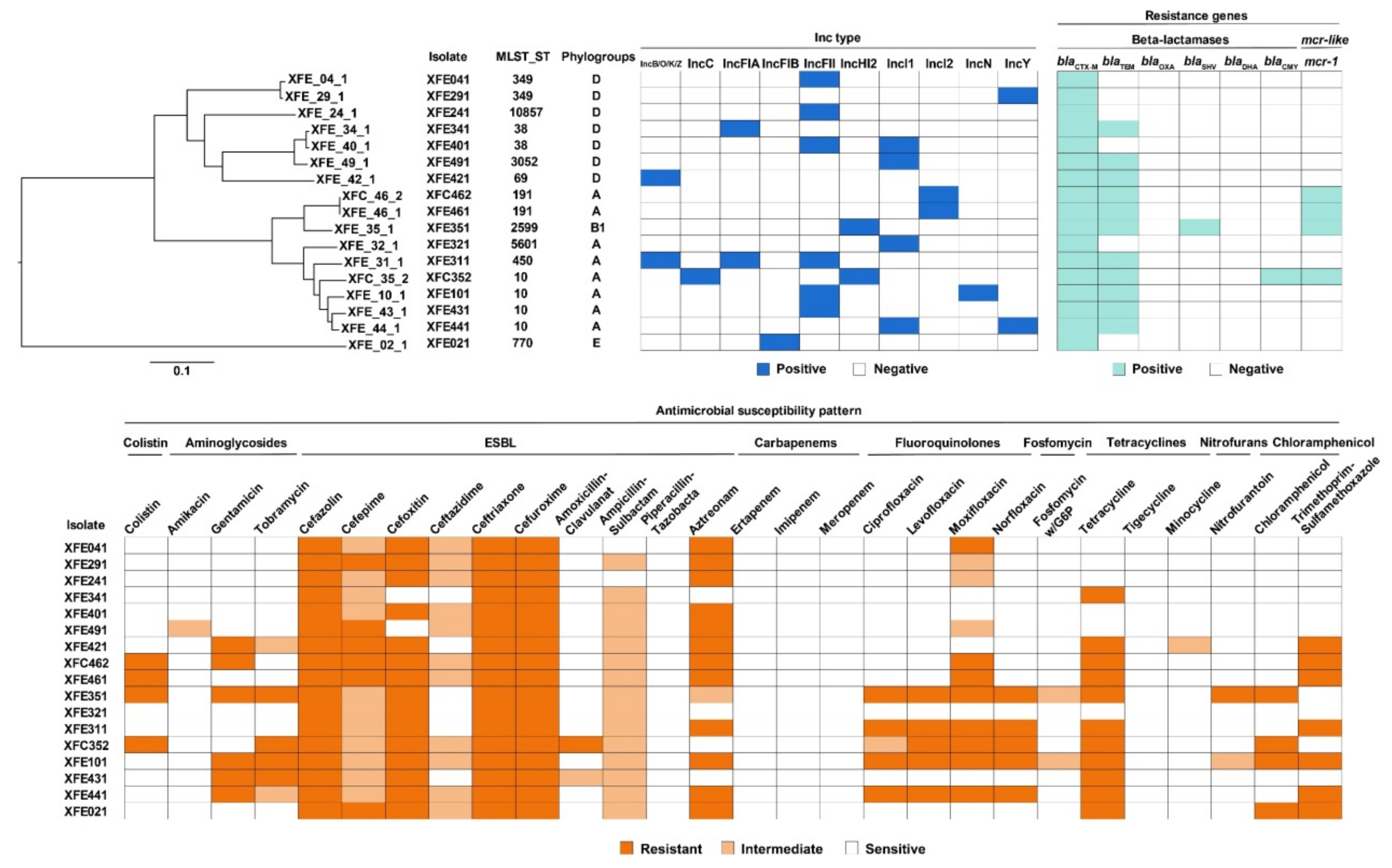 Antibiotics 11 00508 g002