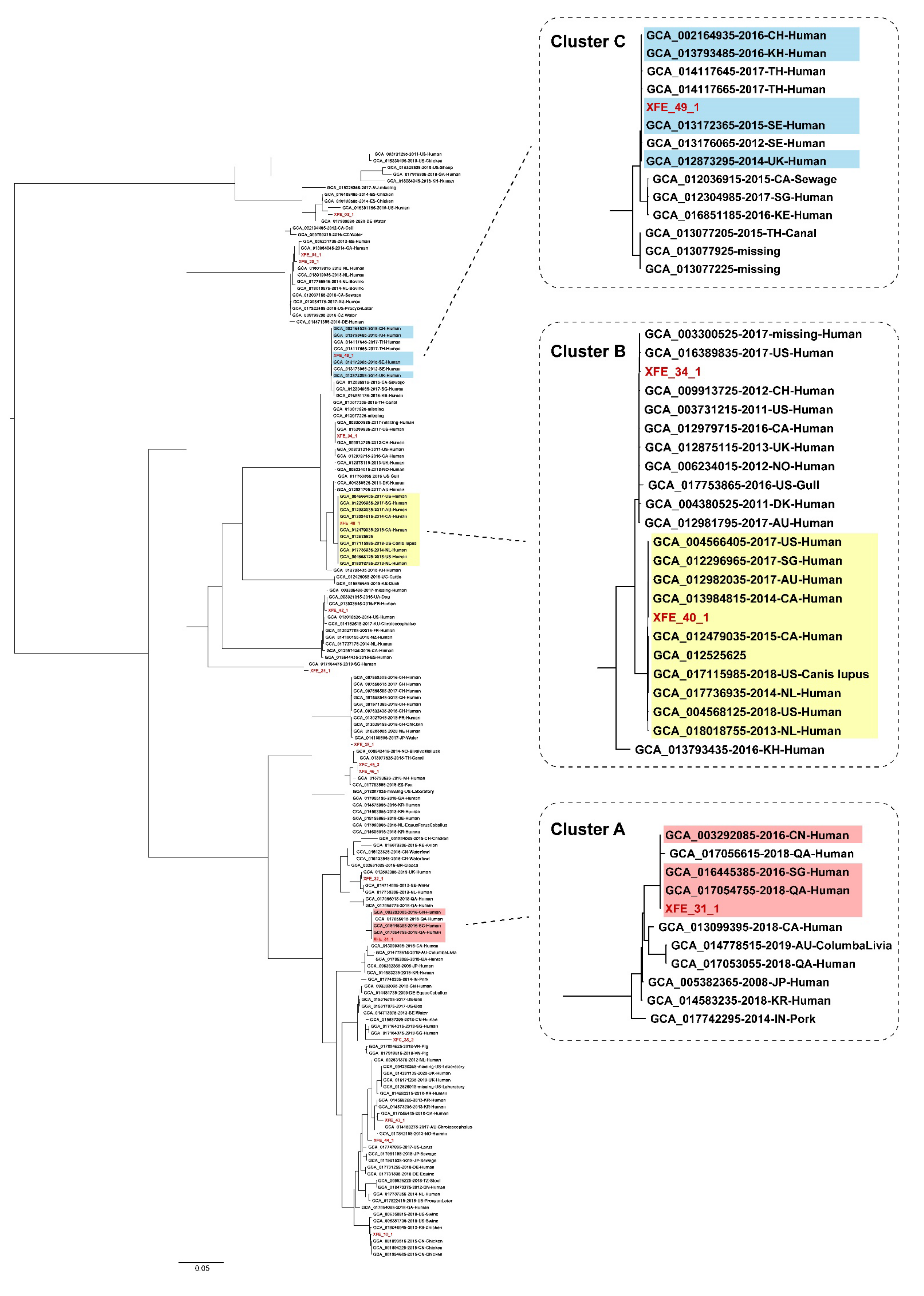 Antibiotics 11 00508 g004