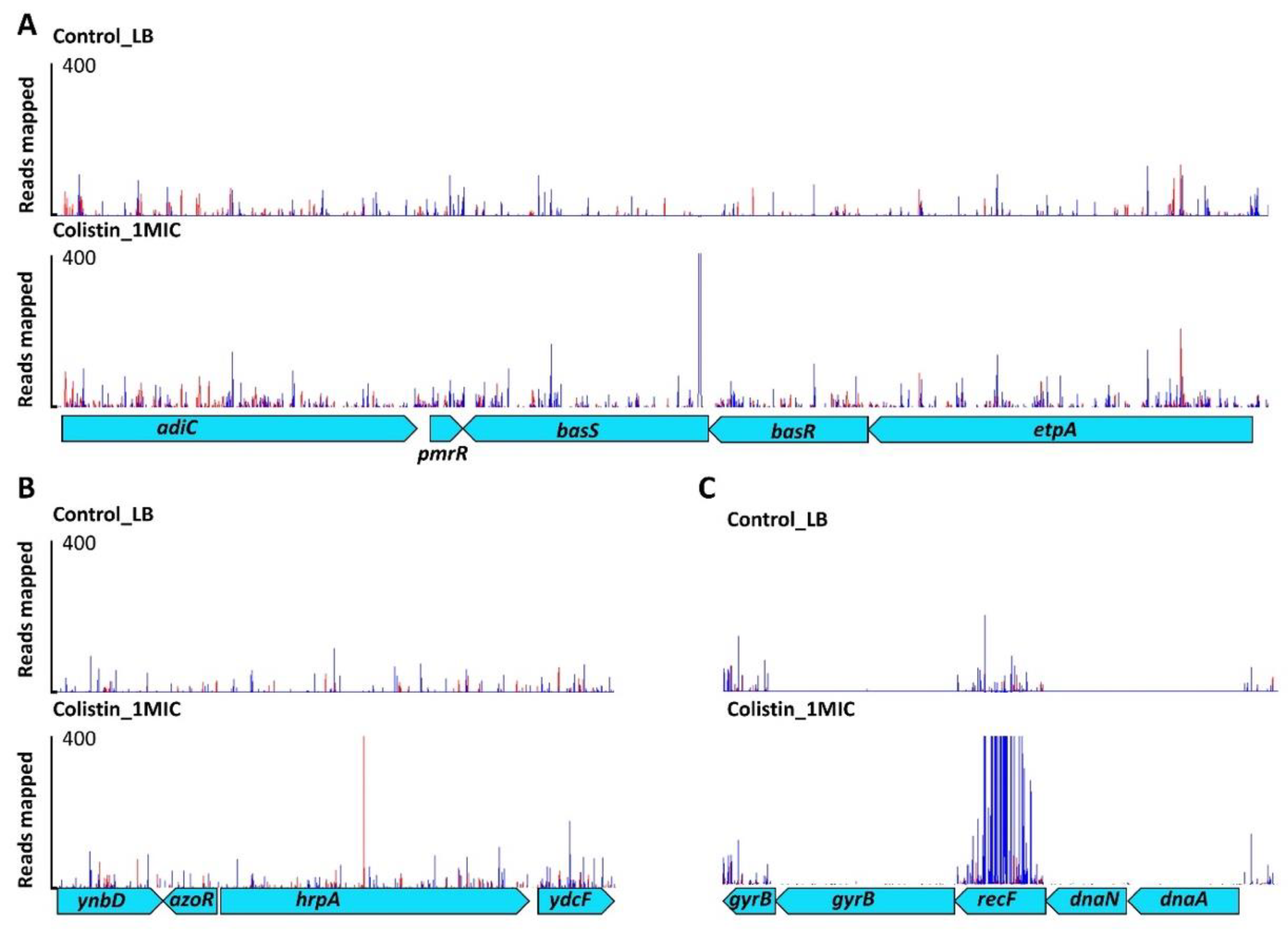 Antibiotics 11 01668 g001