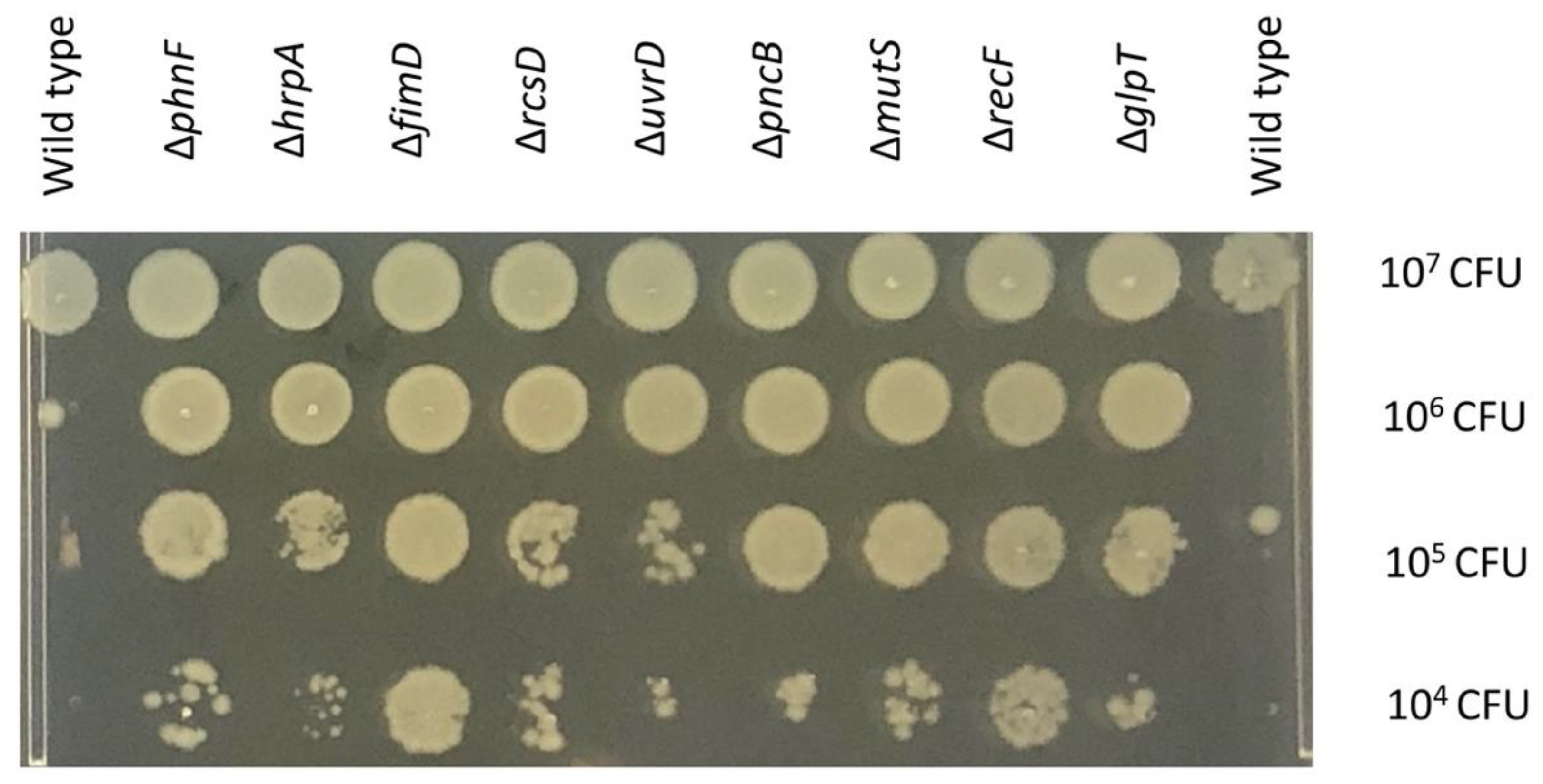 Antibiotics 11 01668 g002