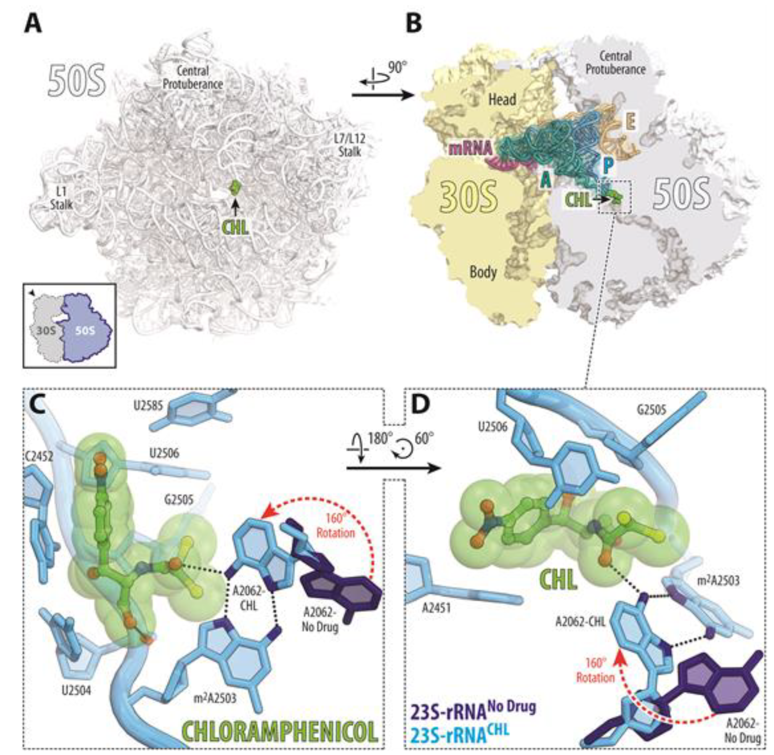 Antibiotics 12 00832 g006