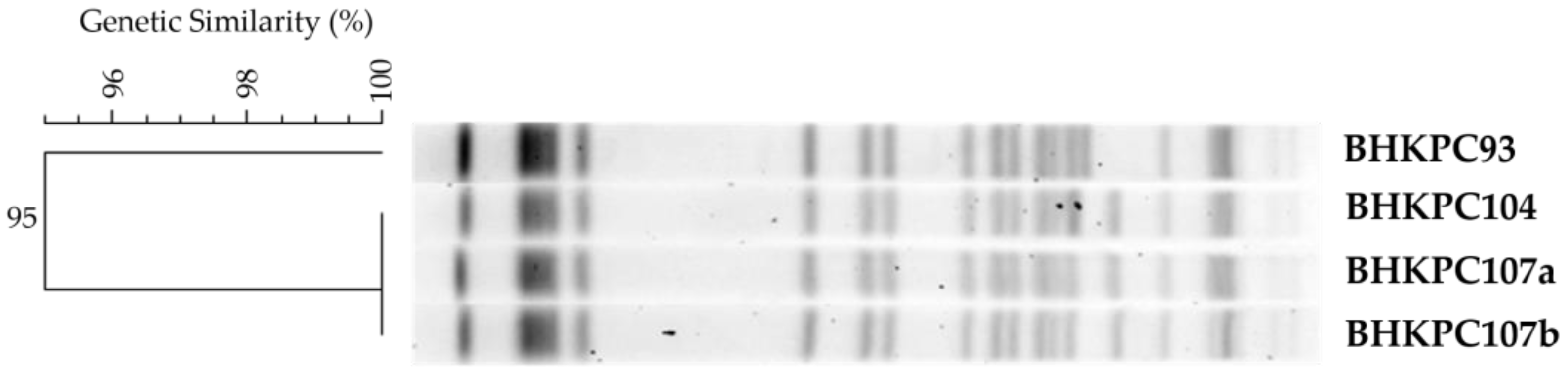Antibiotics 12 00926 g001