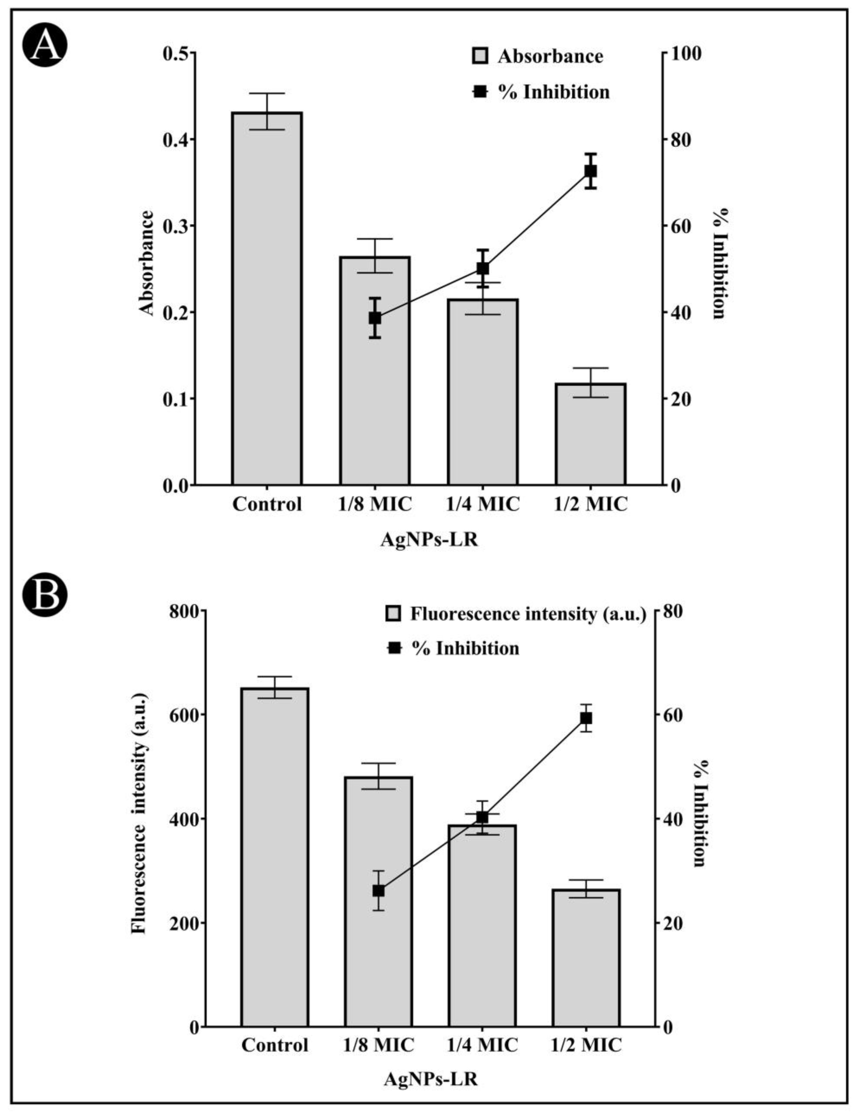 Antibiotics 12 00986 g004