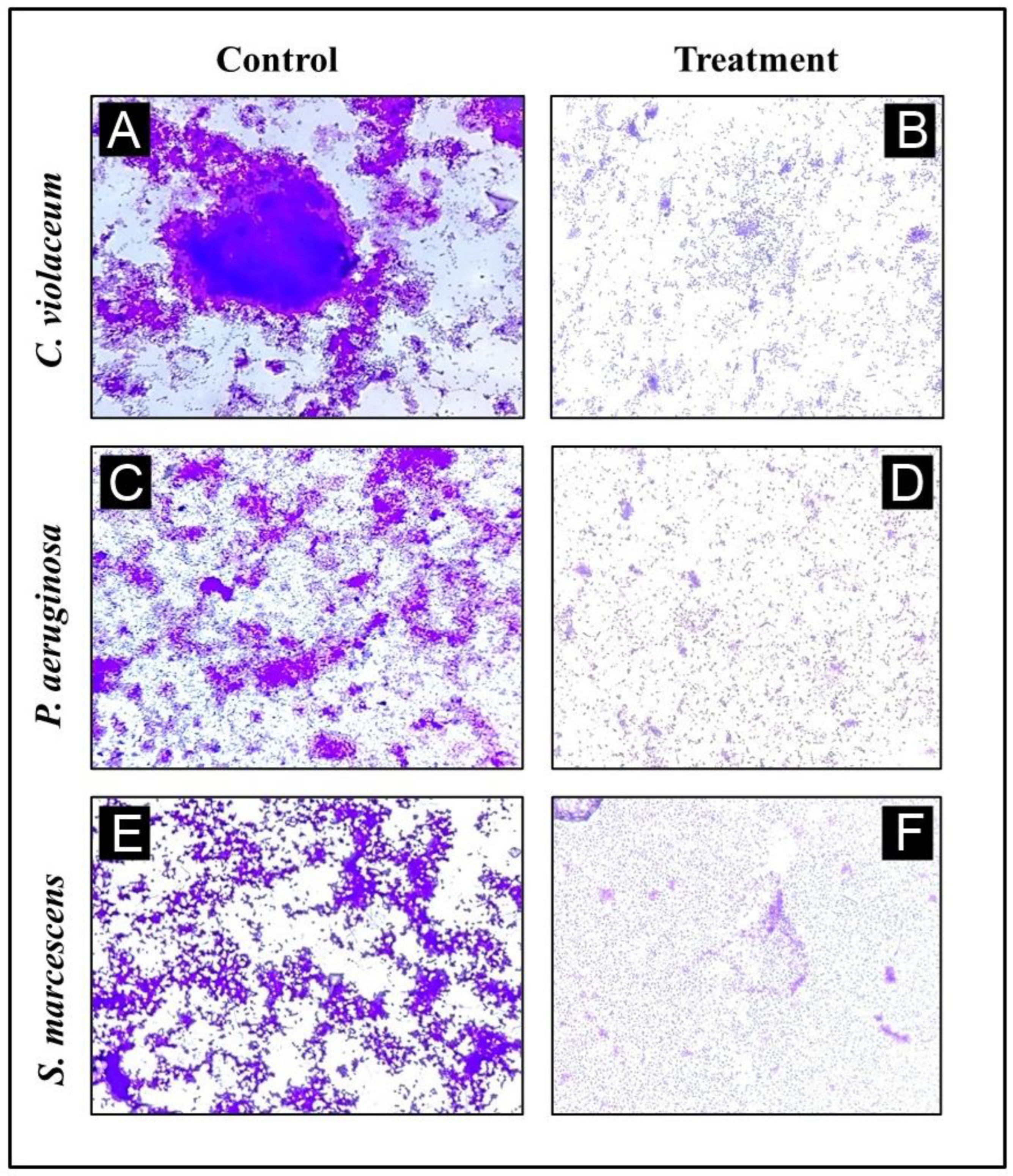 Antibiotics 12 00986 g008