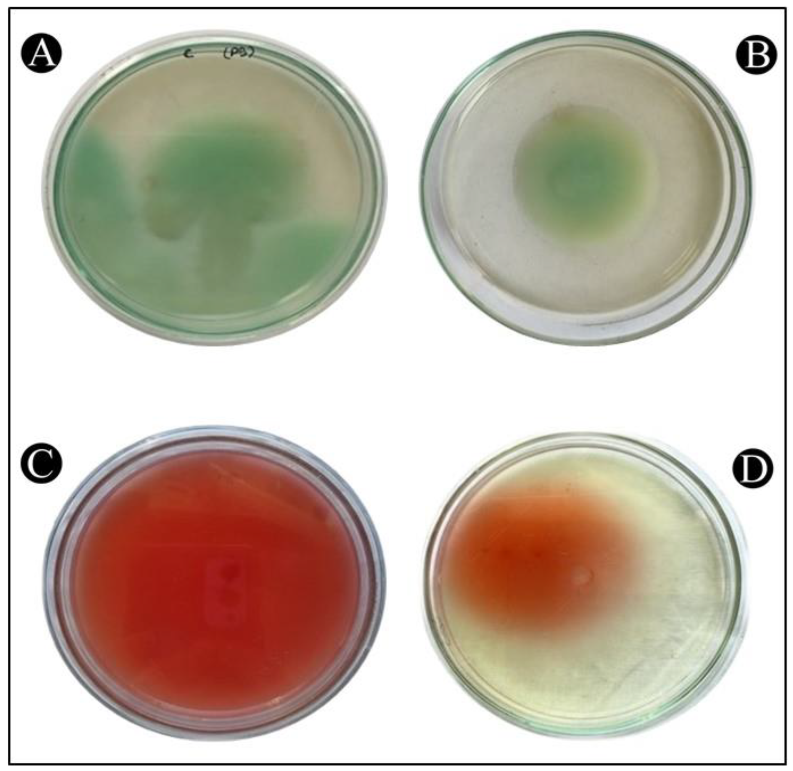 Antibiotics 12 00986 g009