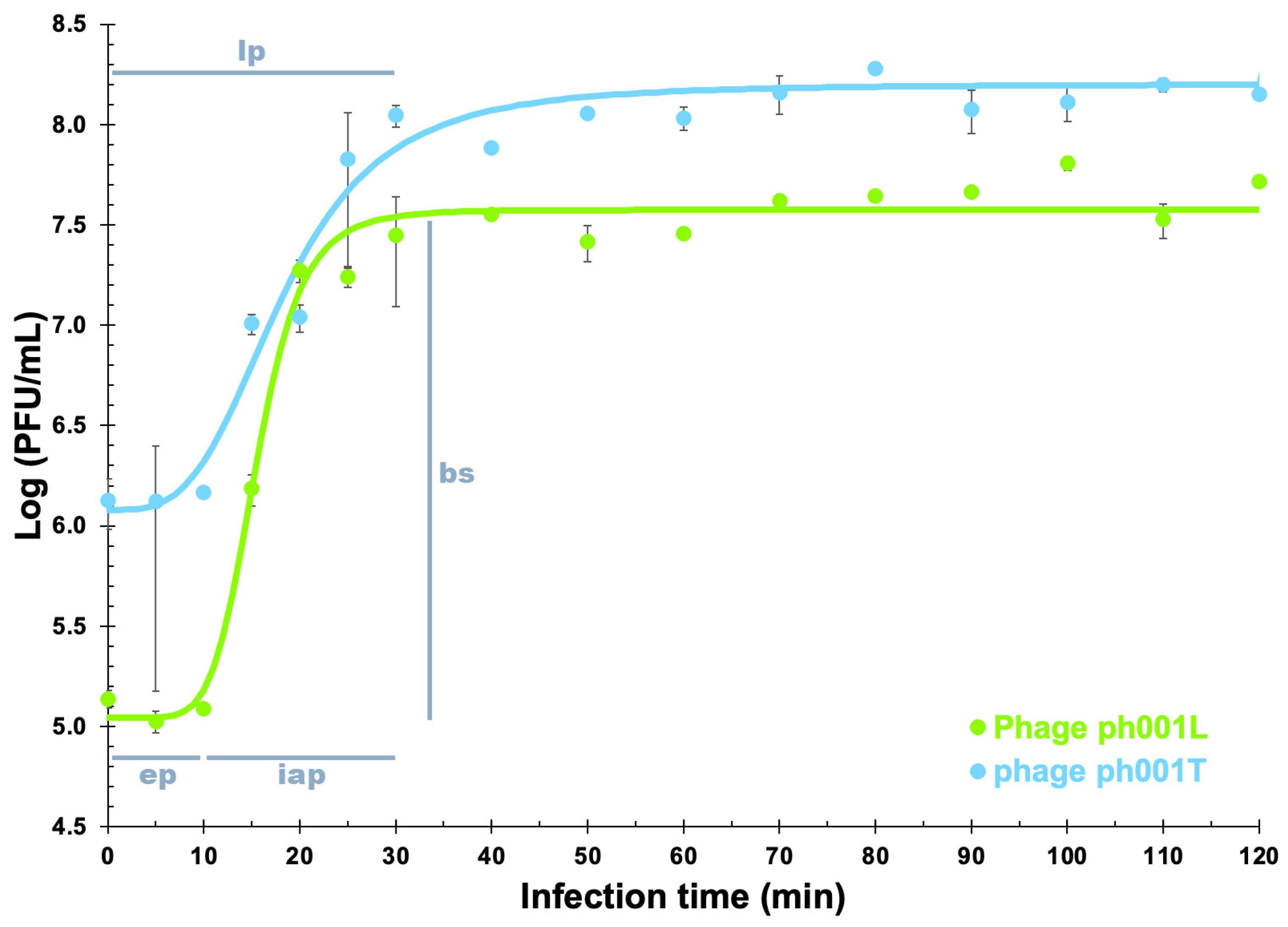 Antibiotics 12 00988 g004