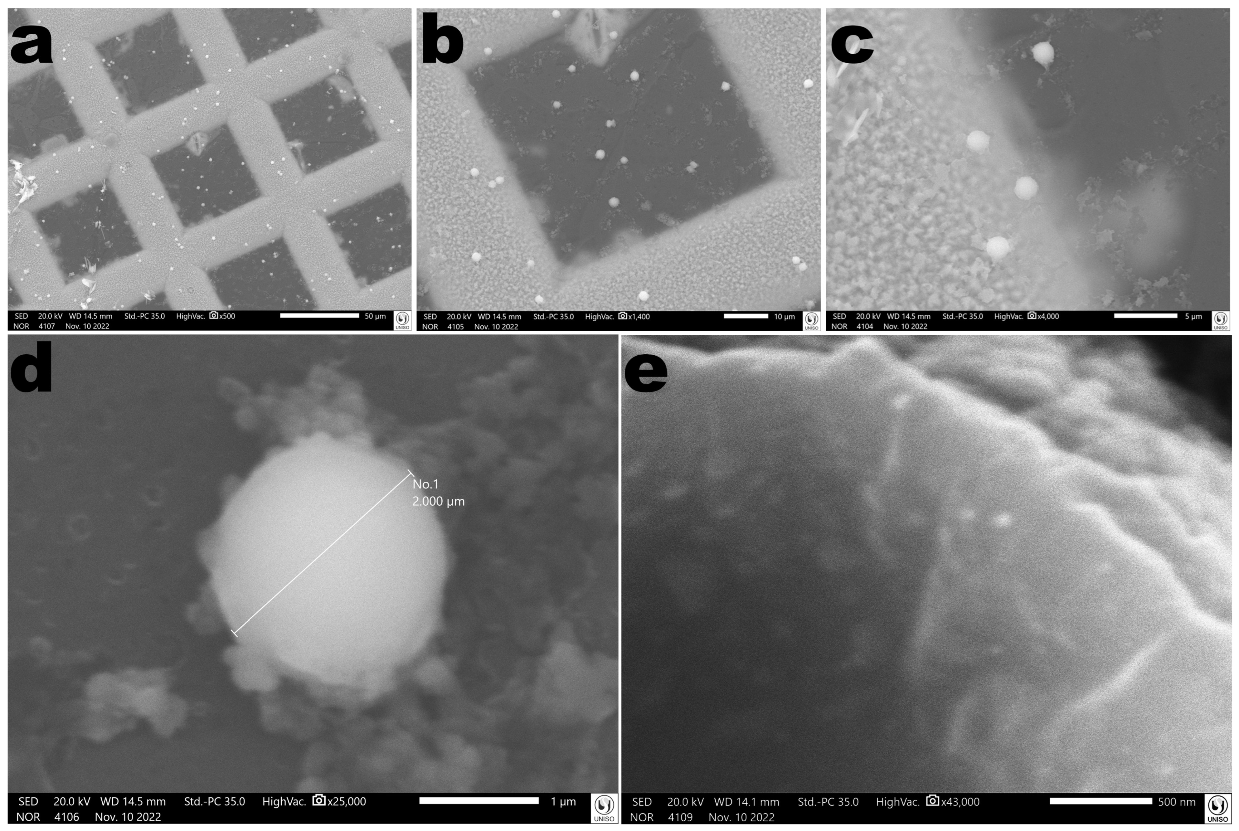 Antibiotics 12 00988 g017