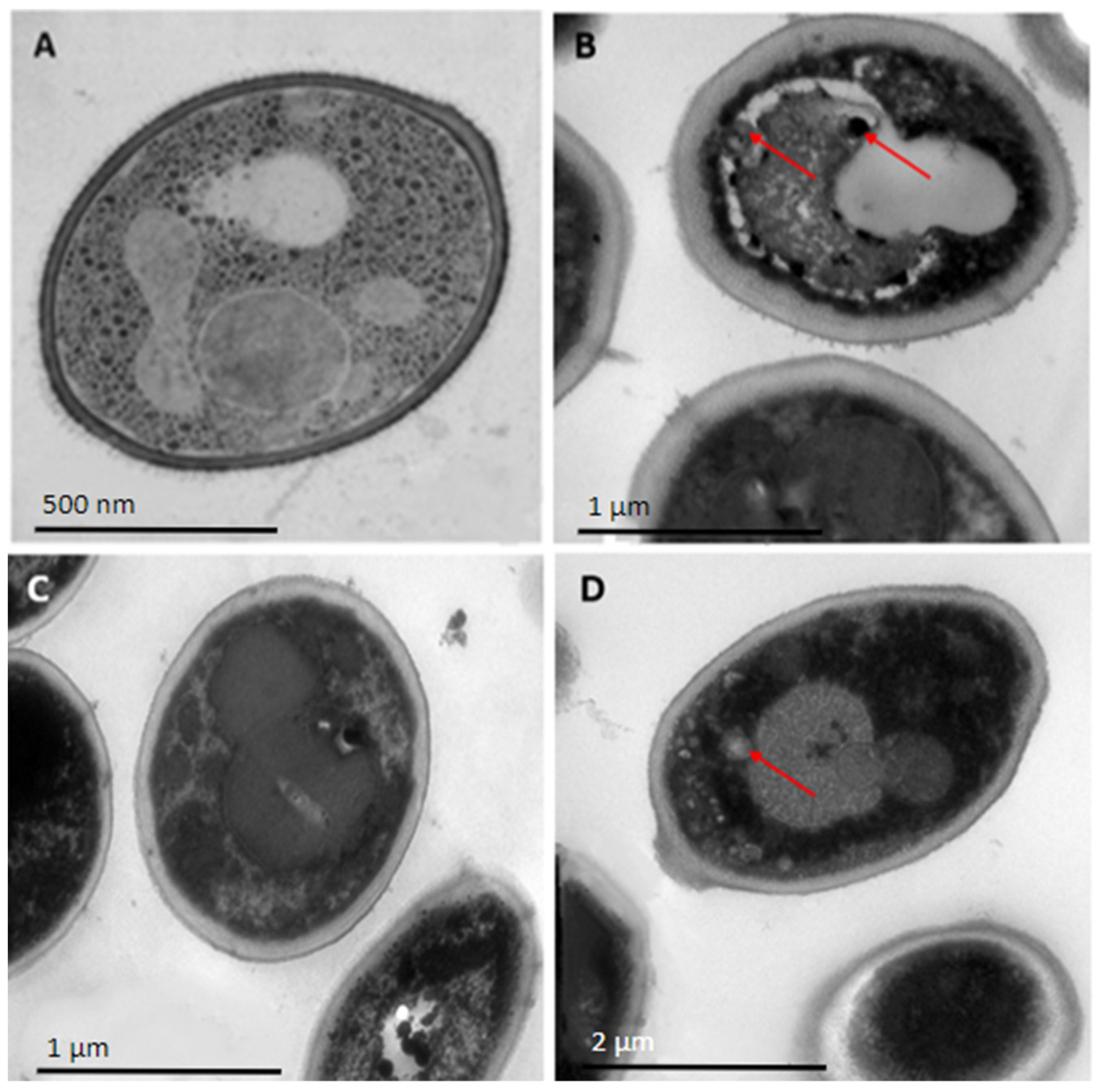 Antibiotics 12 01234 g002