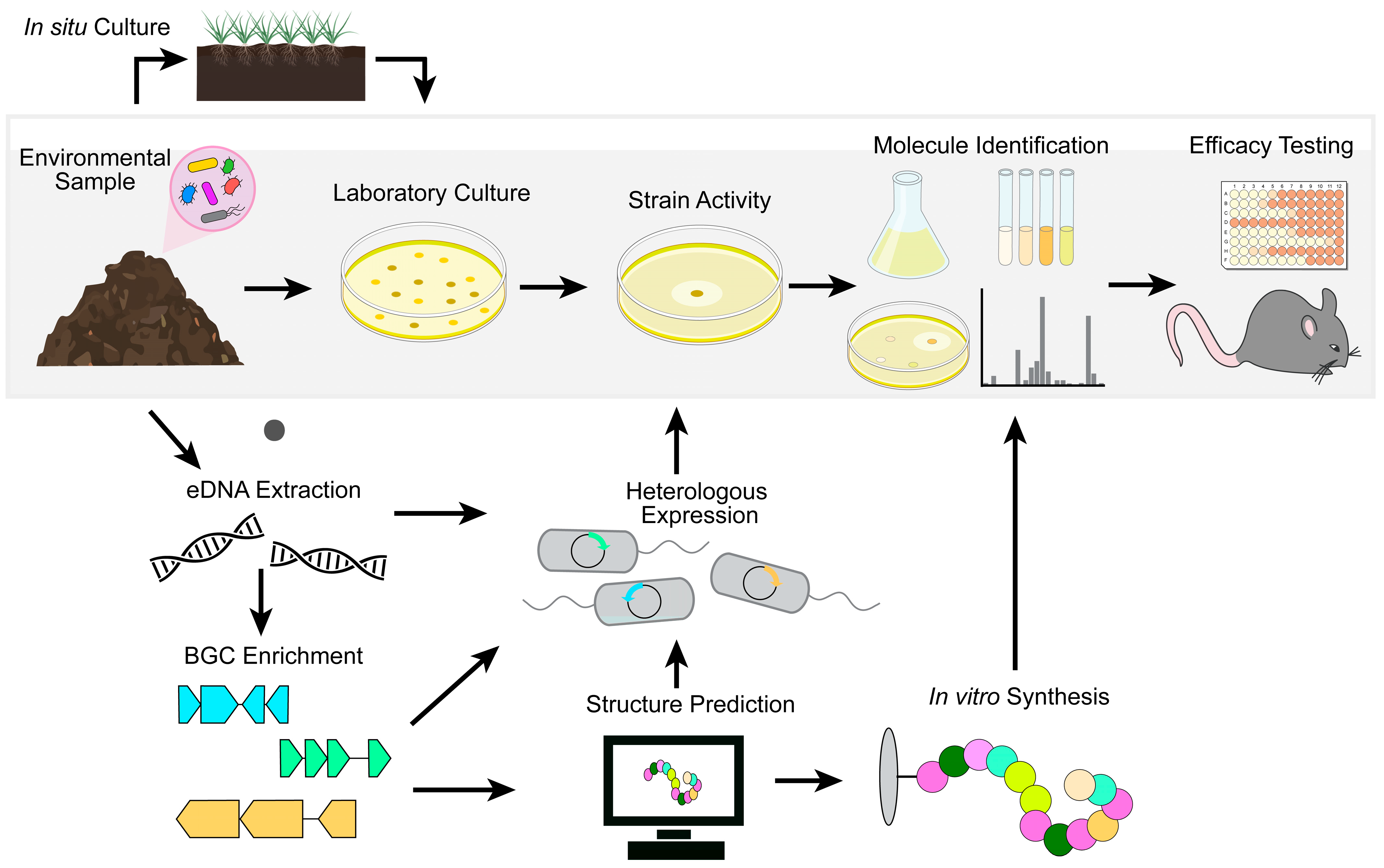 Antibiotics 12 01267 g002
