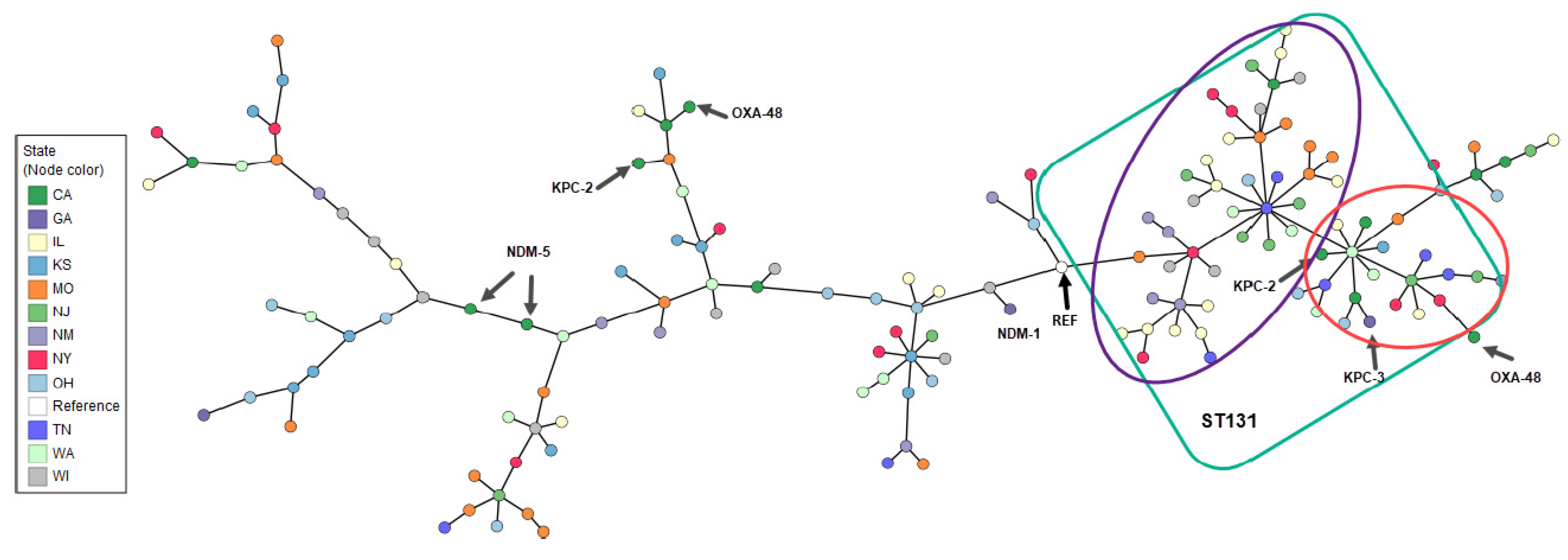 Antibiotics 12 01386 g002