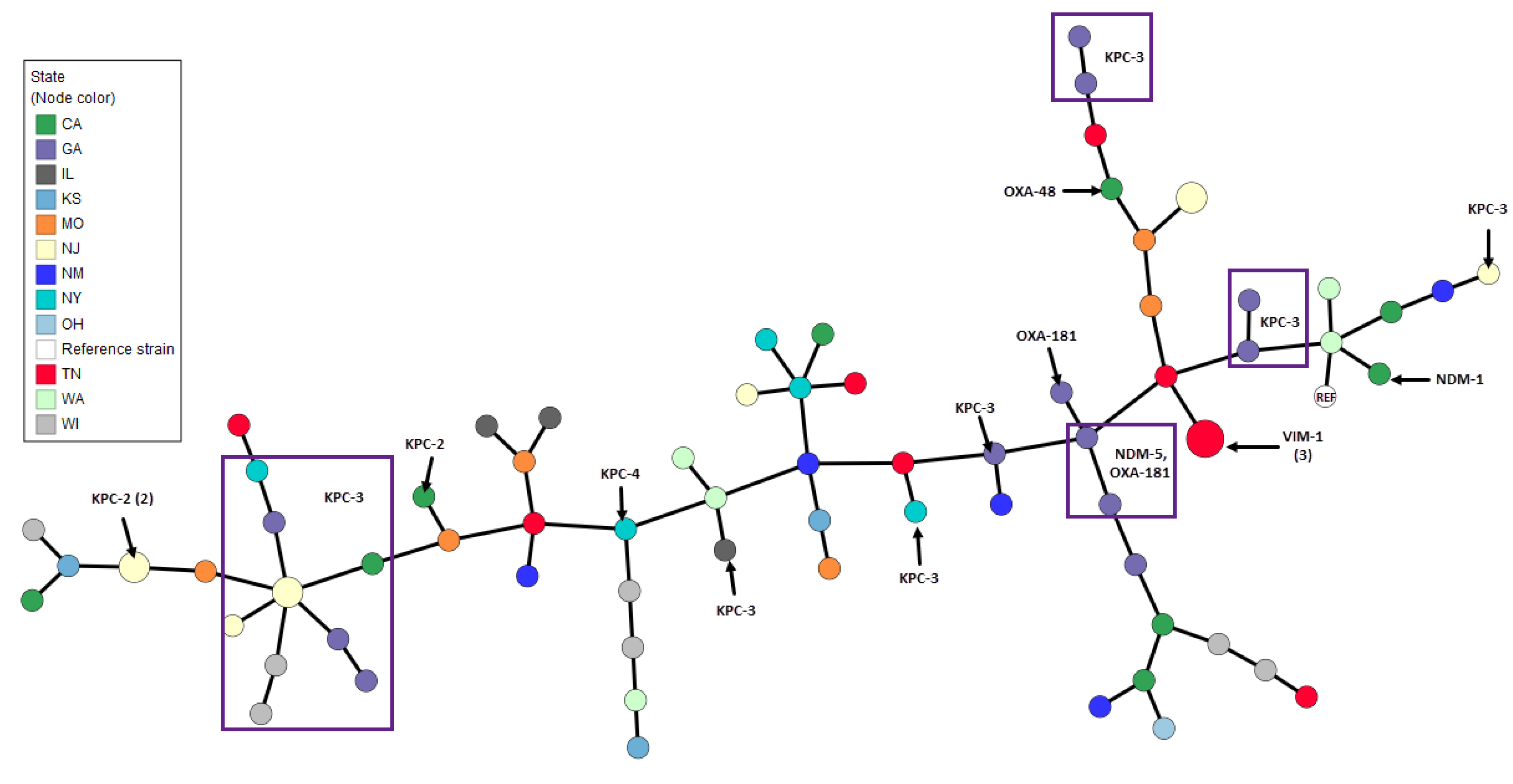Antibiotics 12 01386 g003