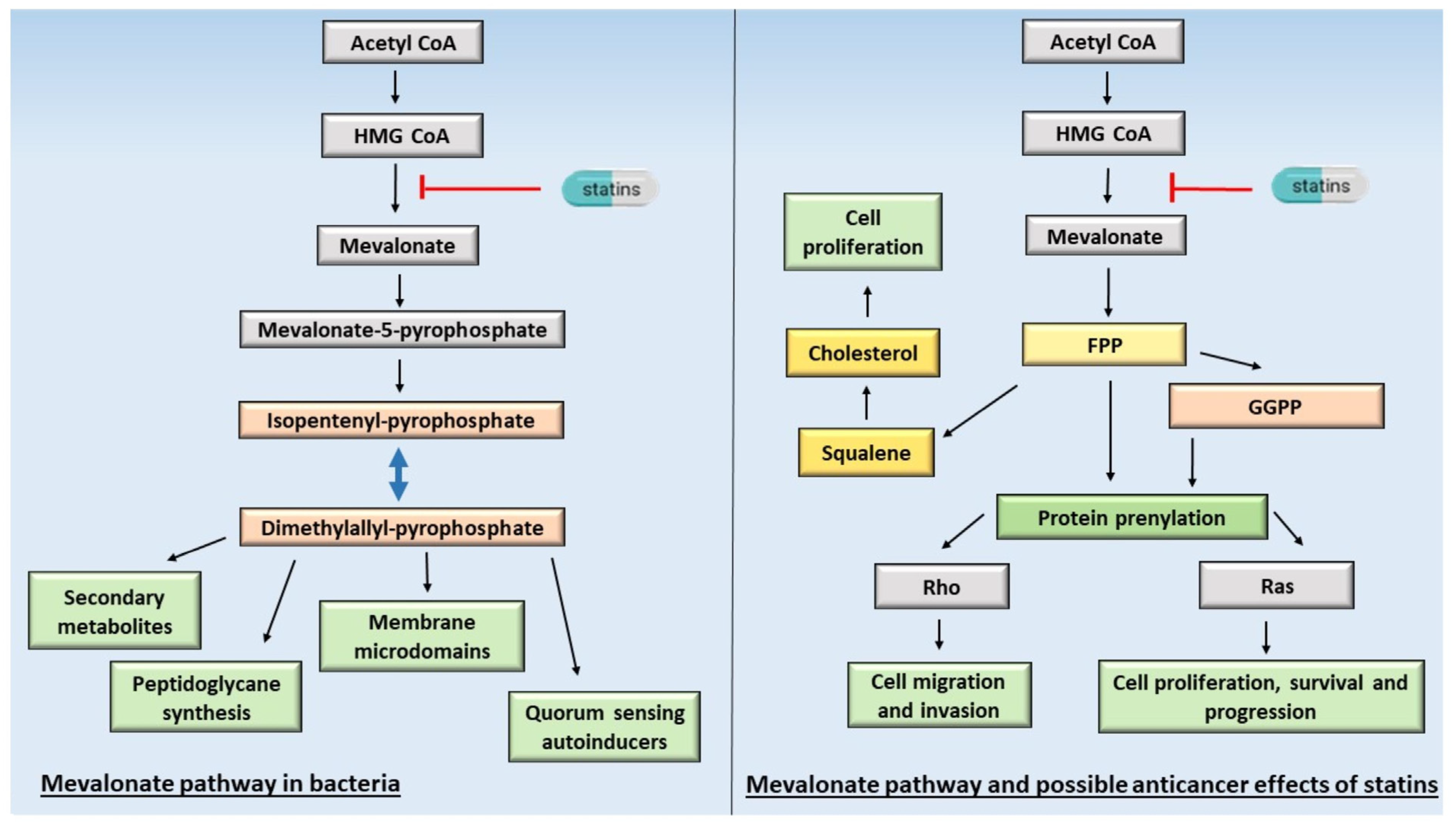 Antibiotics 12 01468 g001
