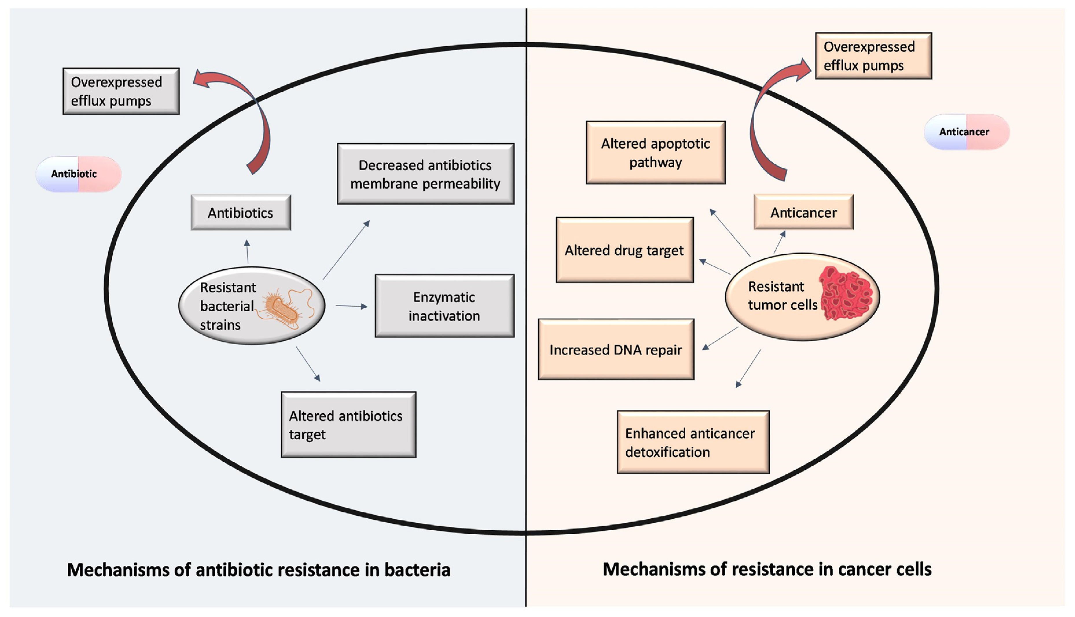 Antibiotics 12 01468 g002